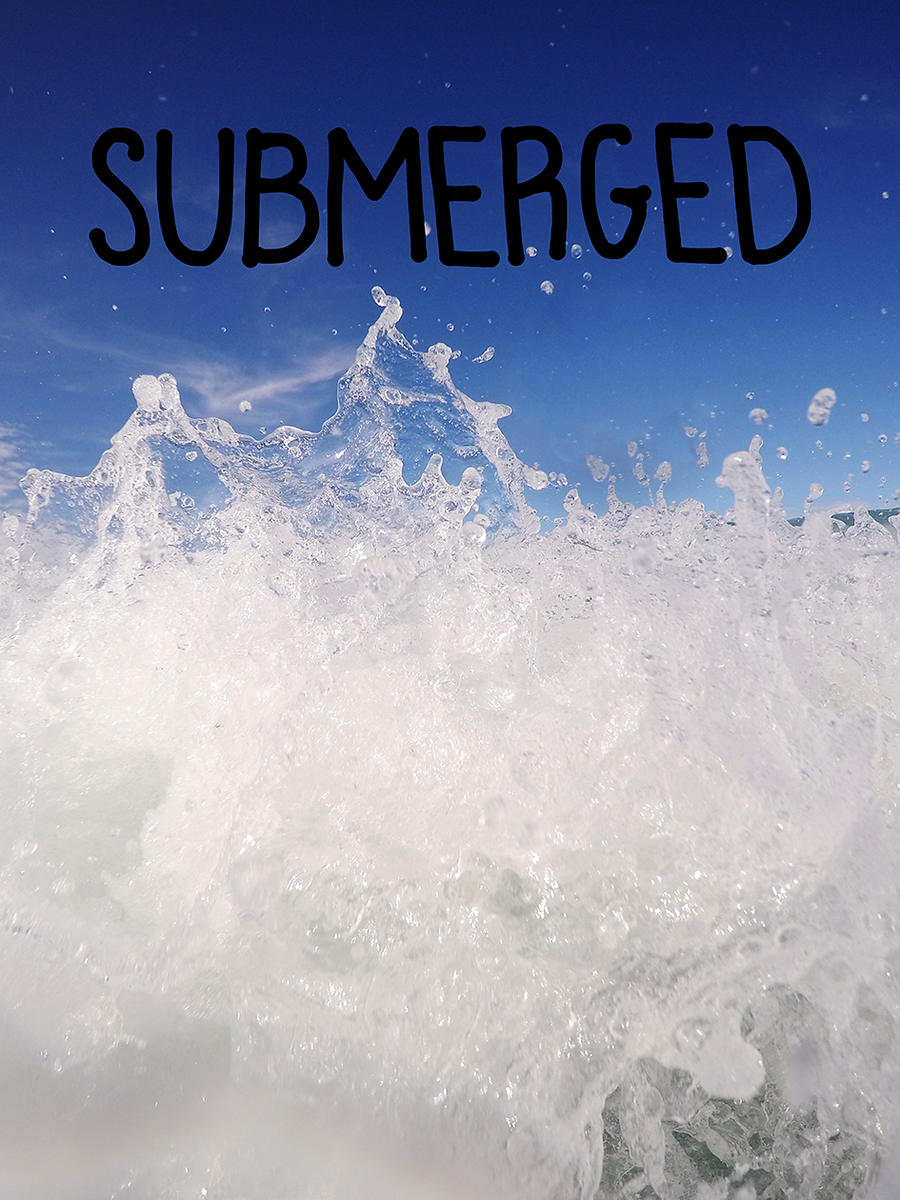 The Photo Cover: This was the only attempt at a photo cover for the book. It was not explored more because we had settled with using watercolor illustrations