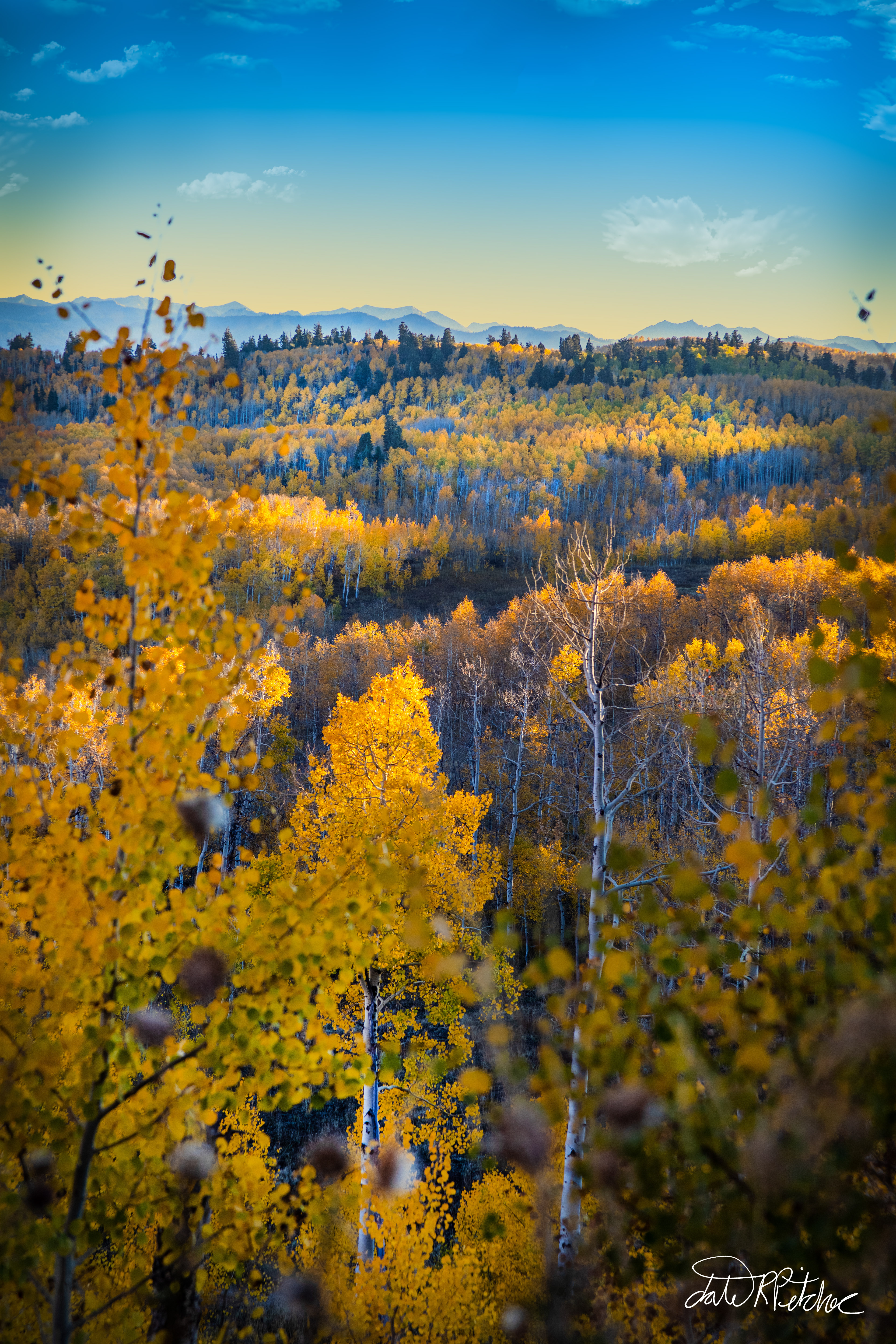 Fall 2022 landscape - This was taken near Mt. Lewis in northern Utah forests while I was 