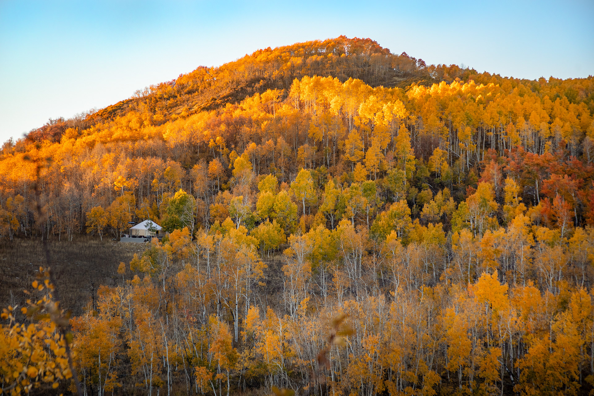 Fall Yurt in Northern Utah