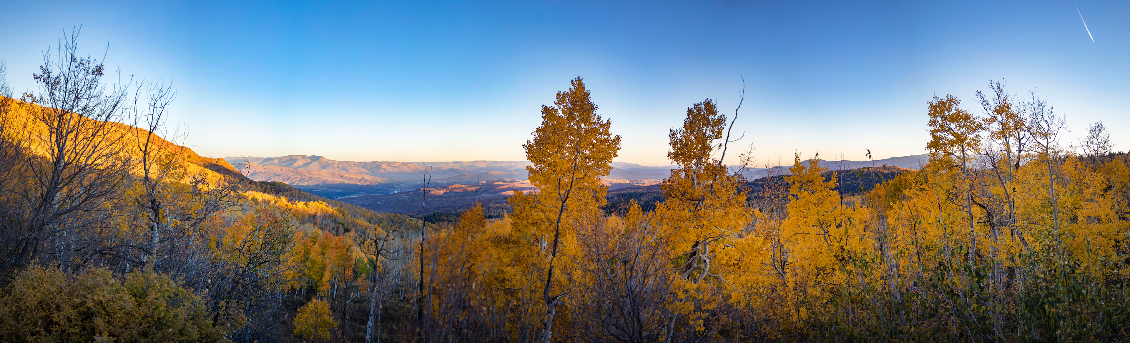 Fall 2022 colors in Northern Utah forests. I took this while standing on top of a four-wheeler!