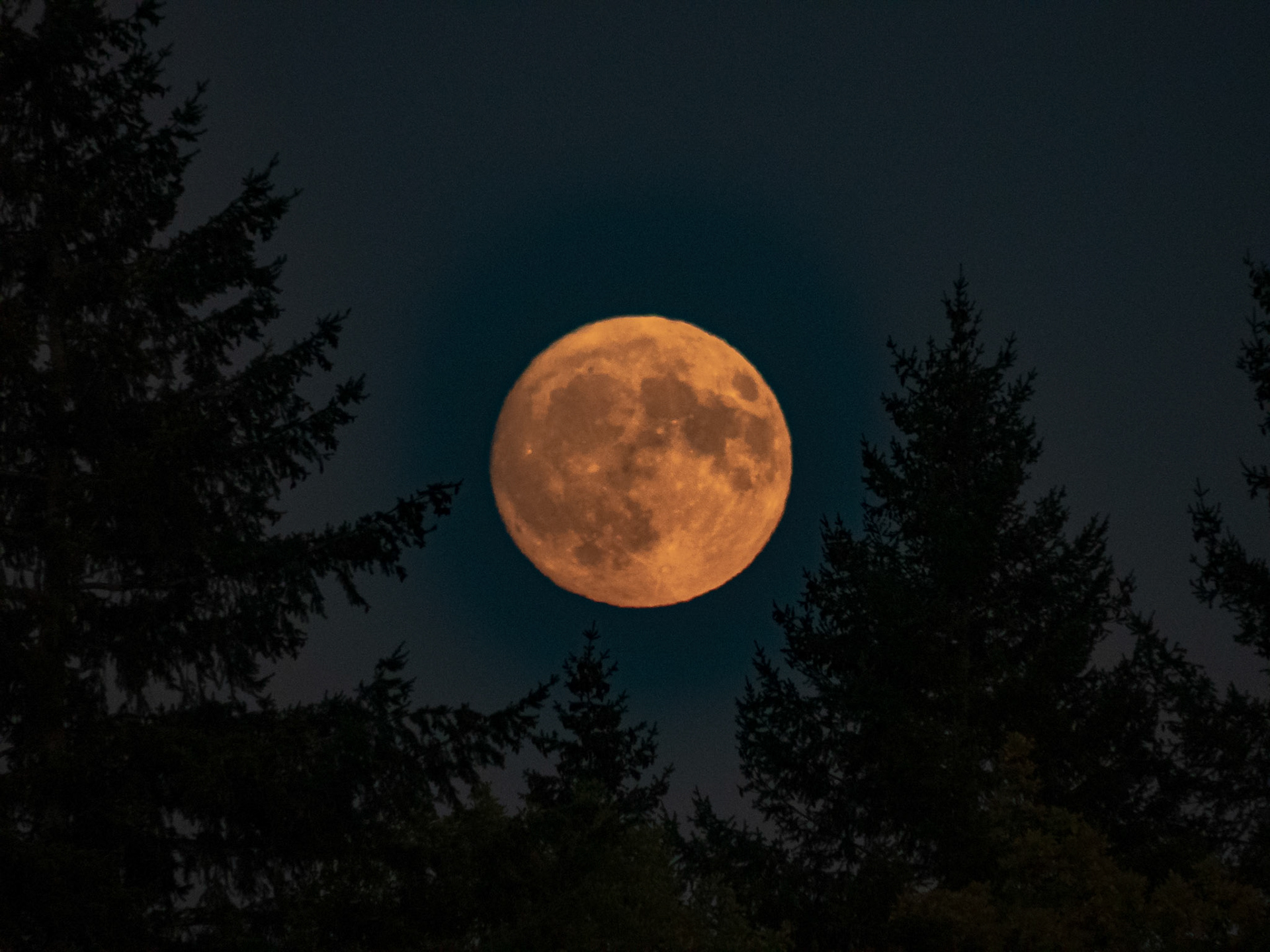 Full moon rising (98.8%) #fz300