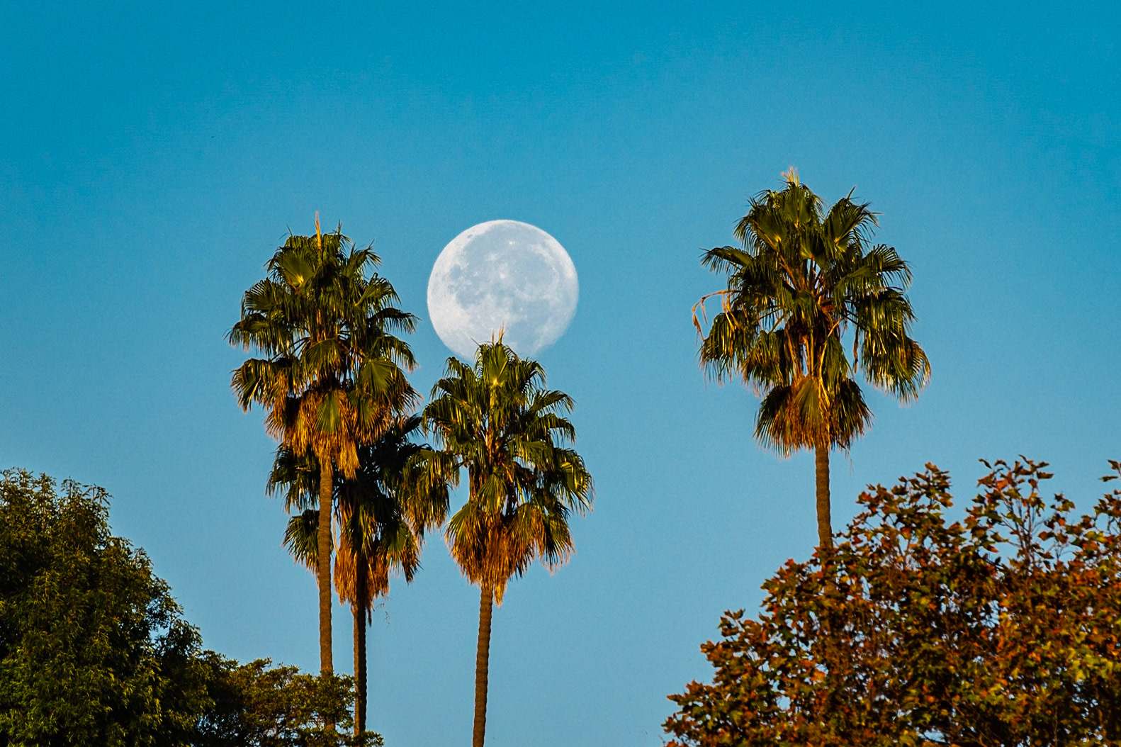 Moonset, California style