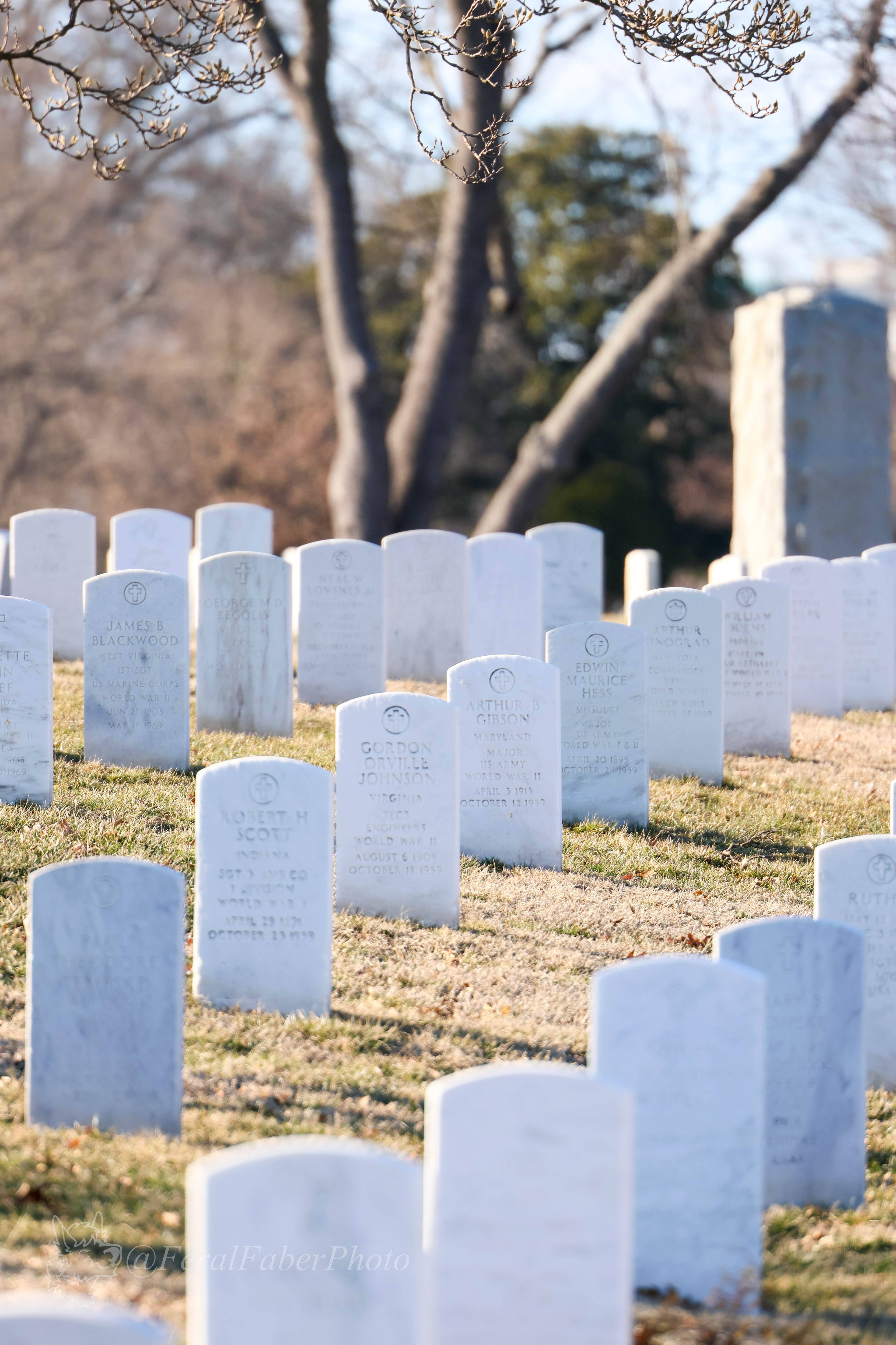 Marble gravestones, Arlington National Cemetery, D.C.