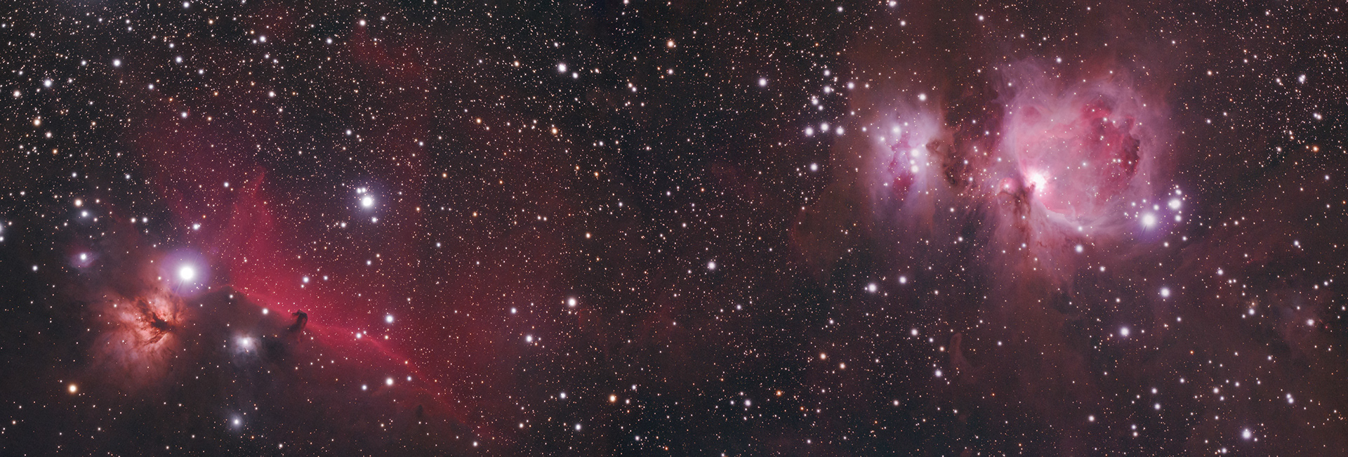 Horsehead & Orion Nebulae