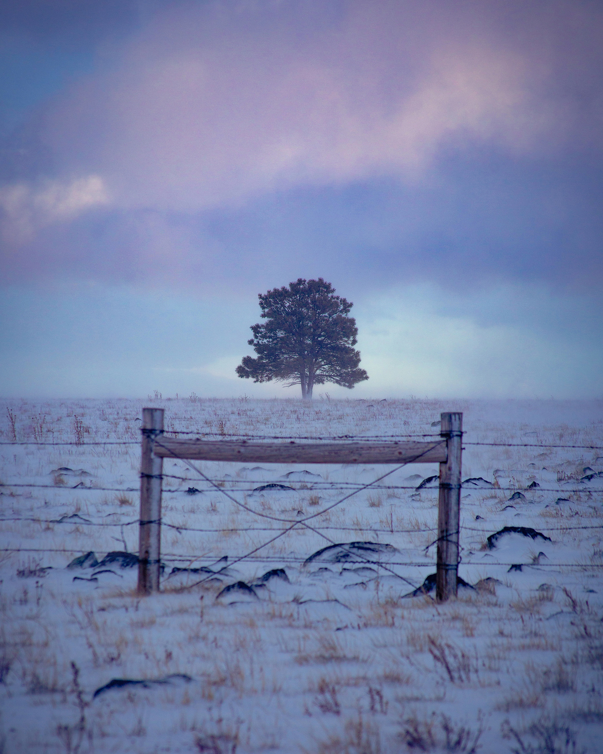 January