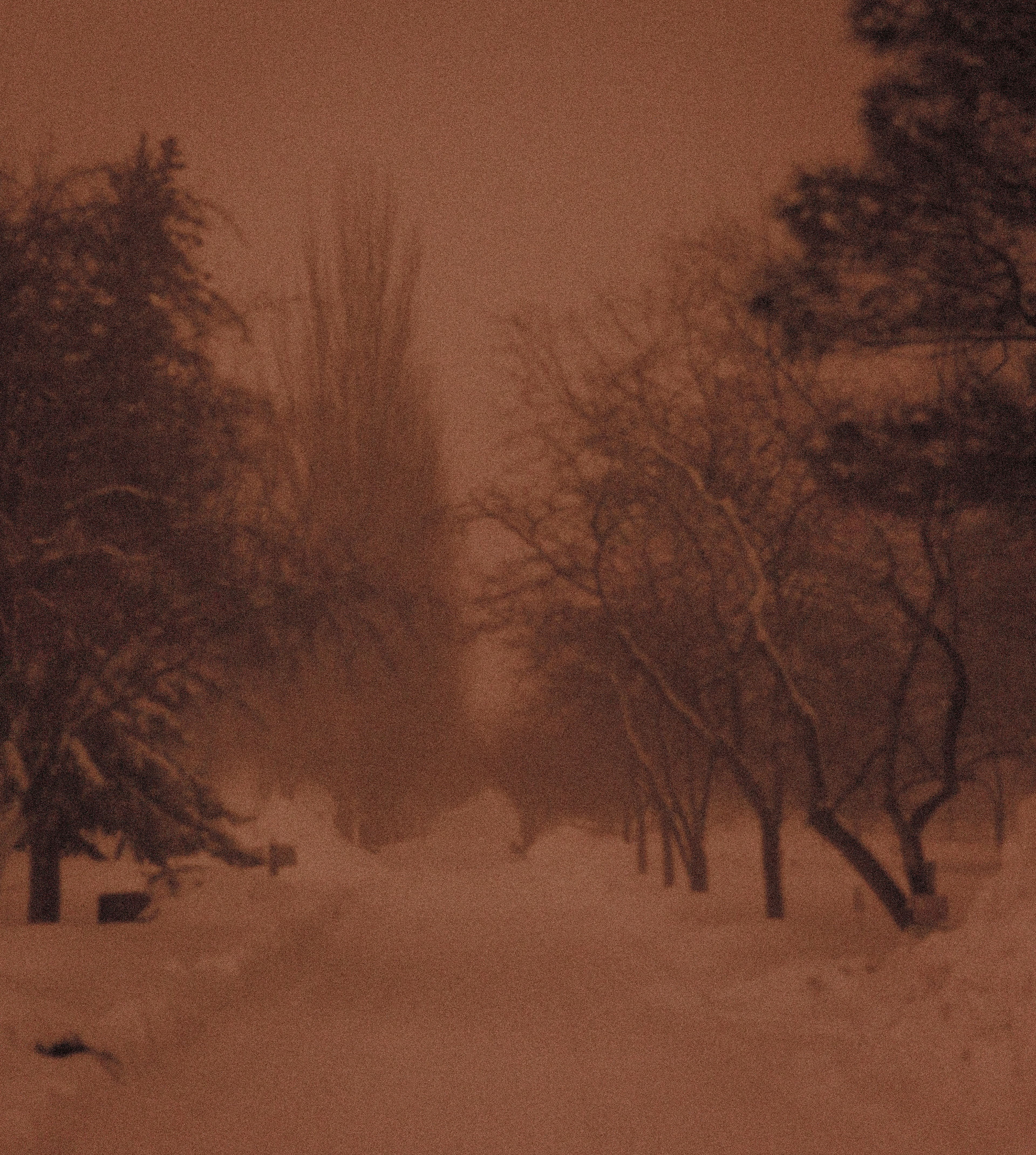 Forgotten Memory