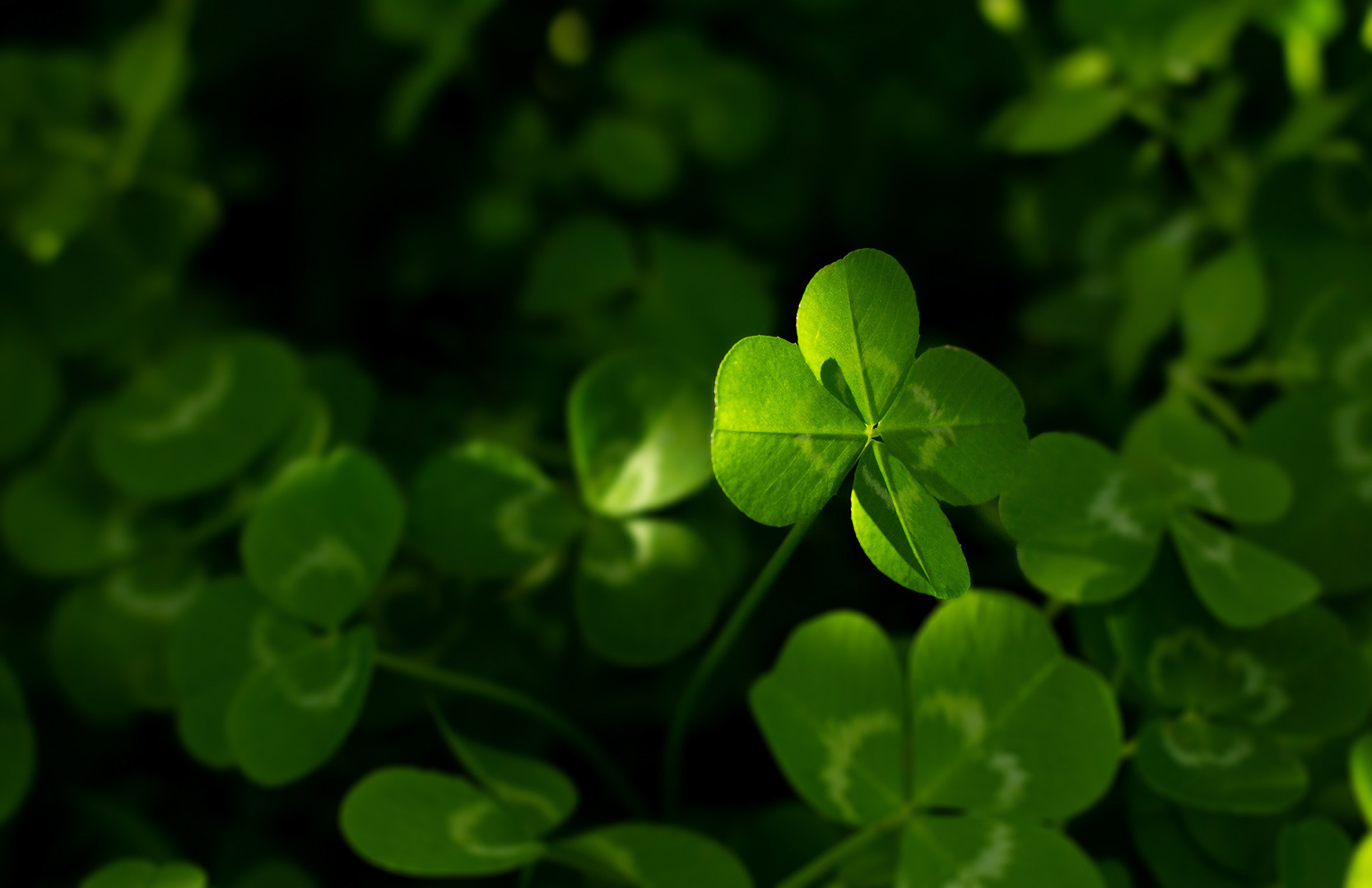 Lucky