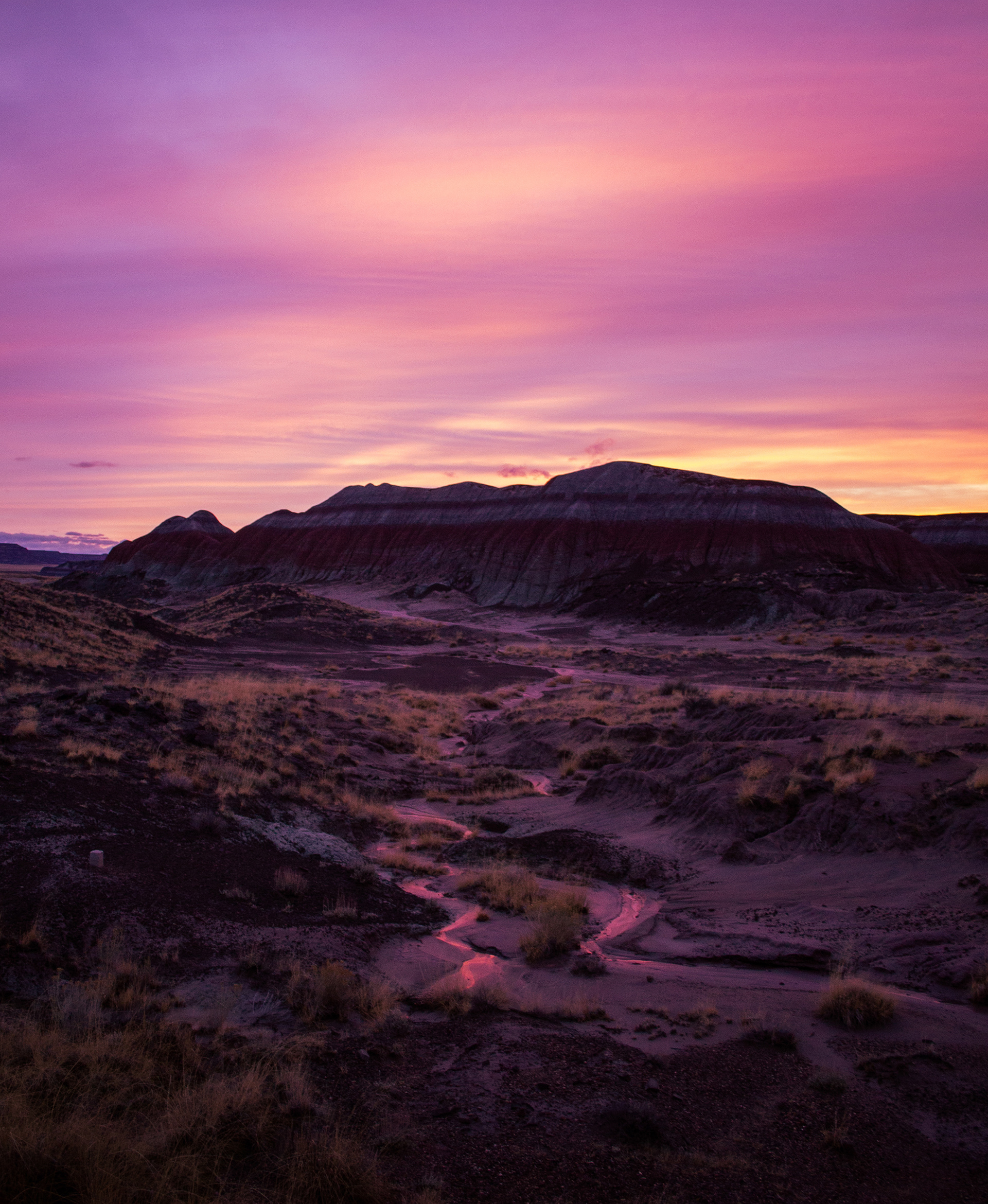 The Painted Desert