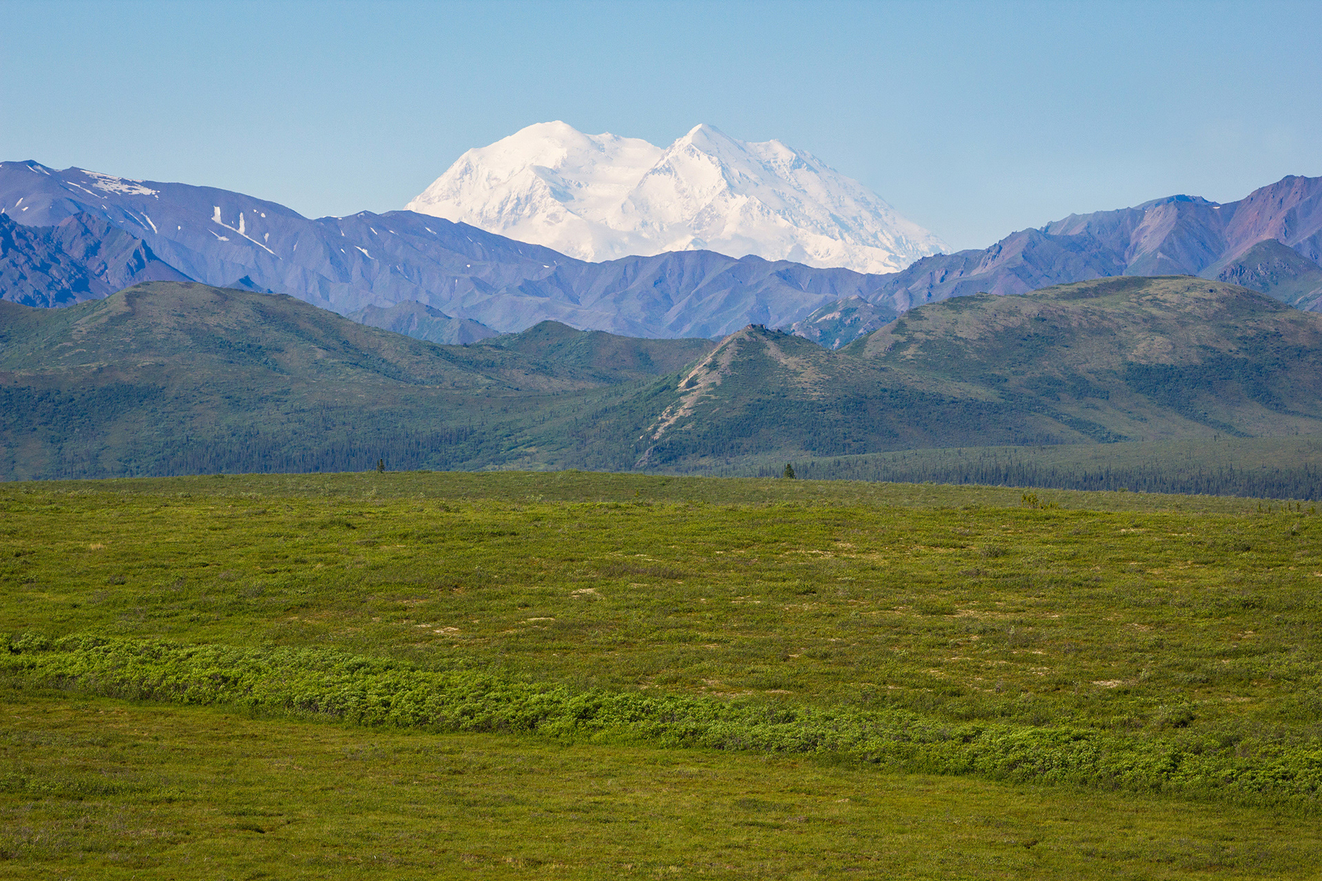 Denali