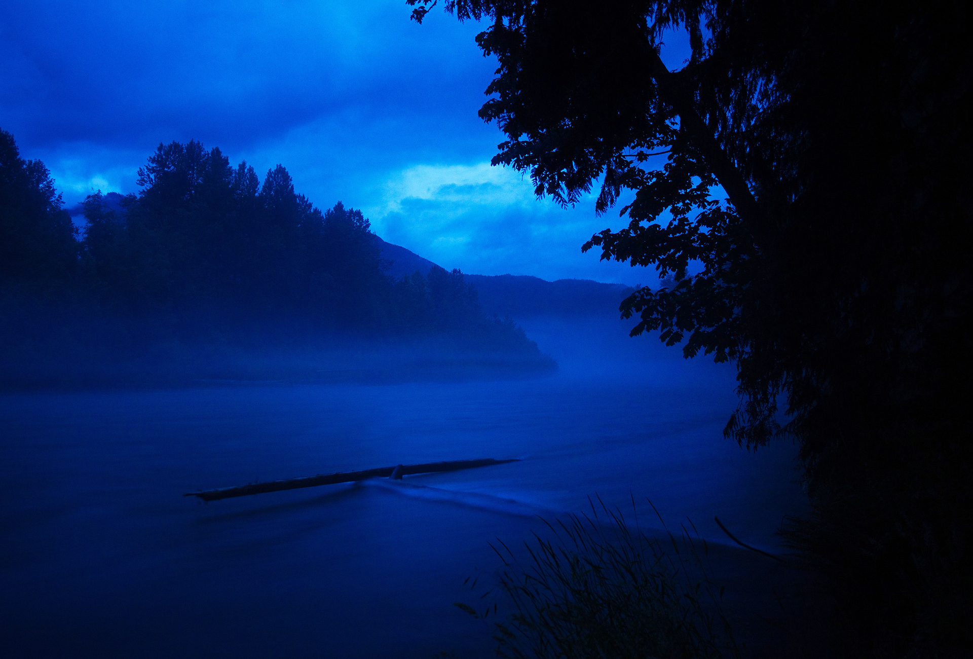 Fog in the North Cascades