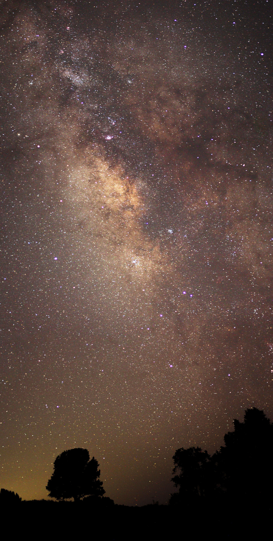 The Milky Way