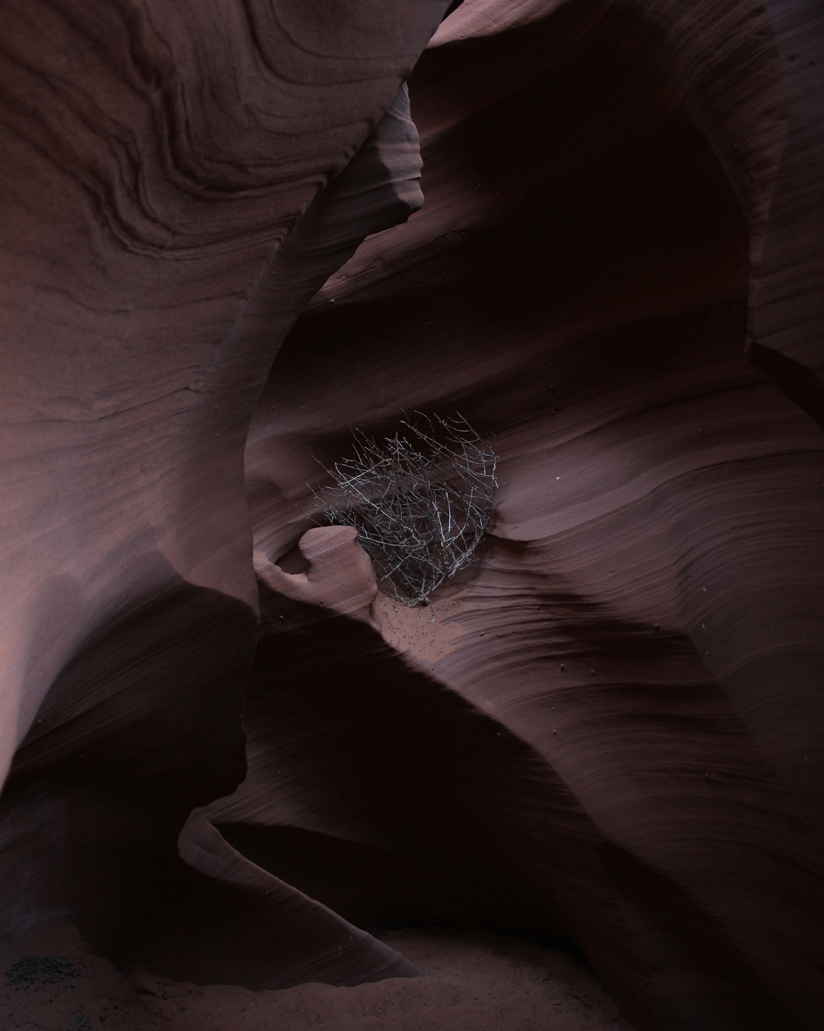 Sandstone Shelf