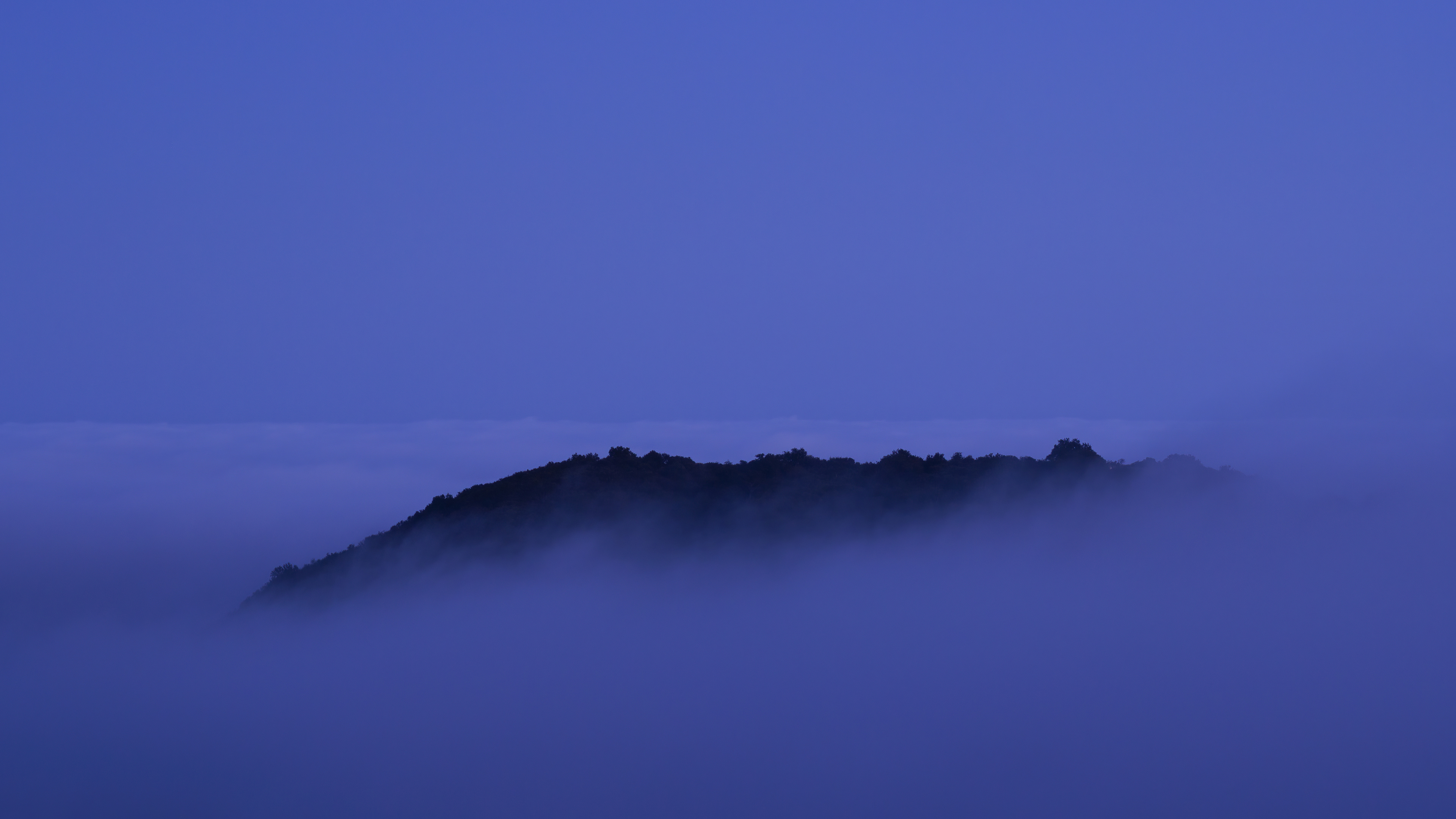 Above the Fog