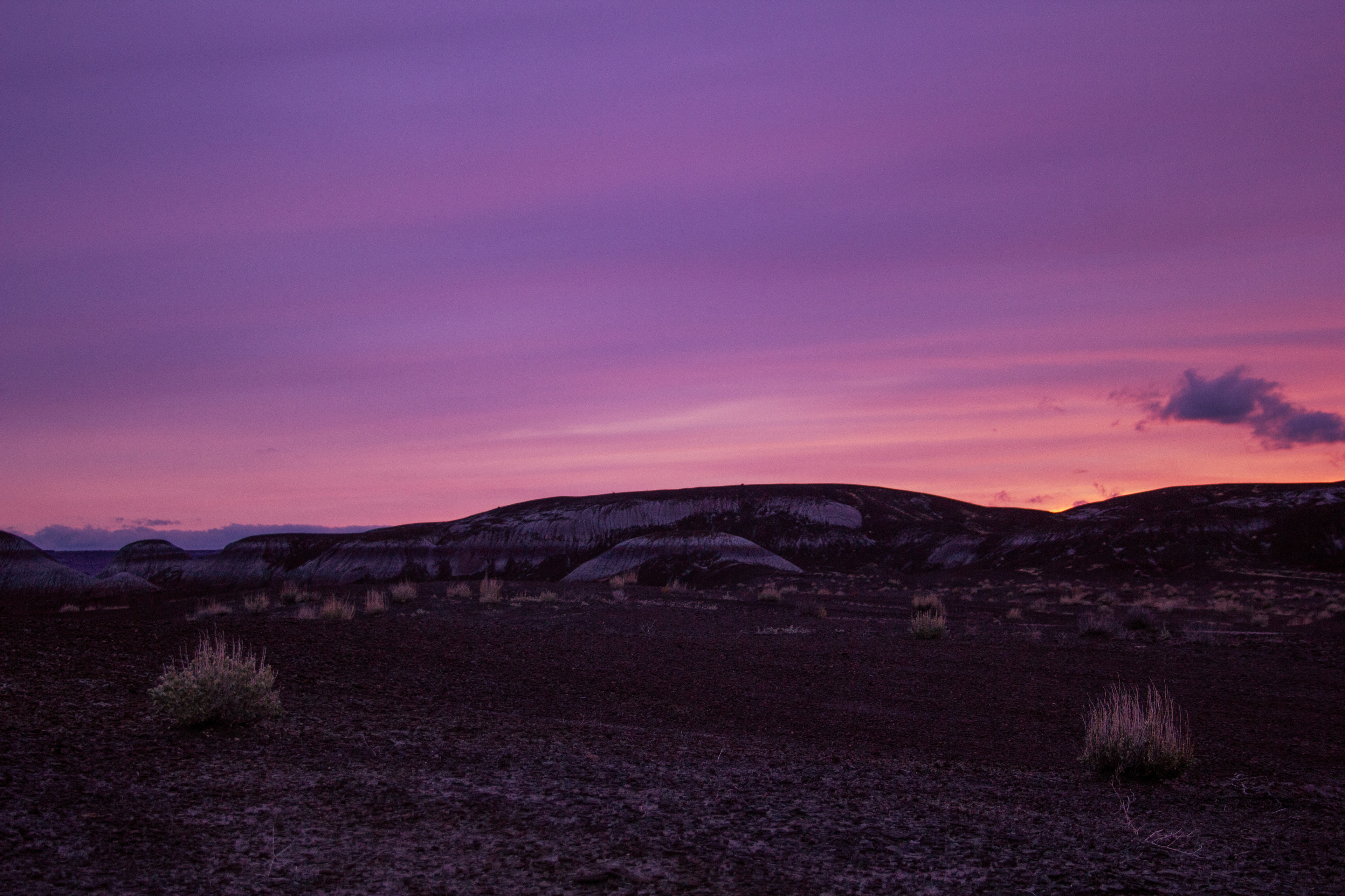 The Painted Desert