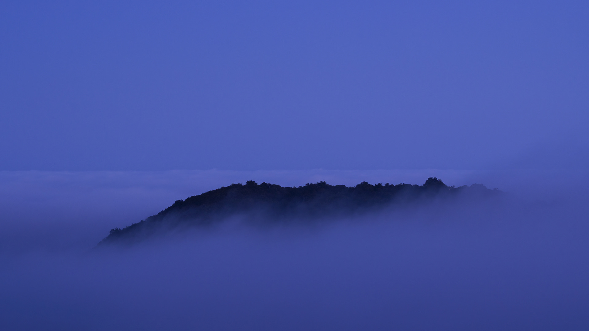 Above the Fog