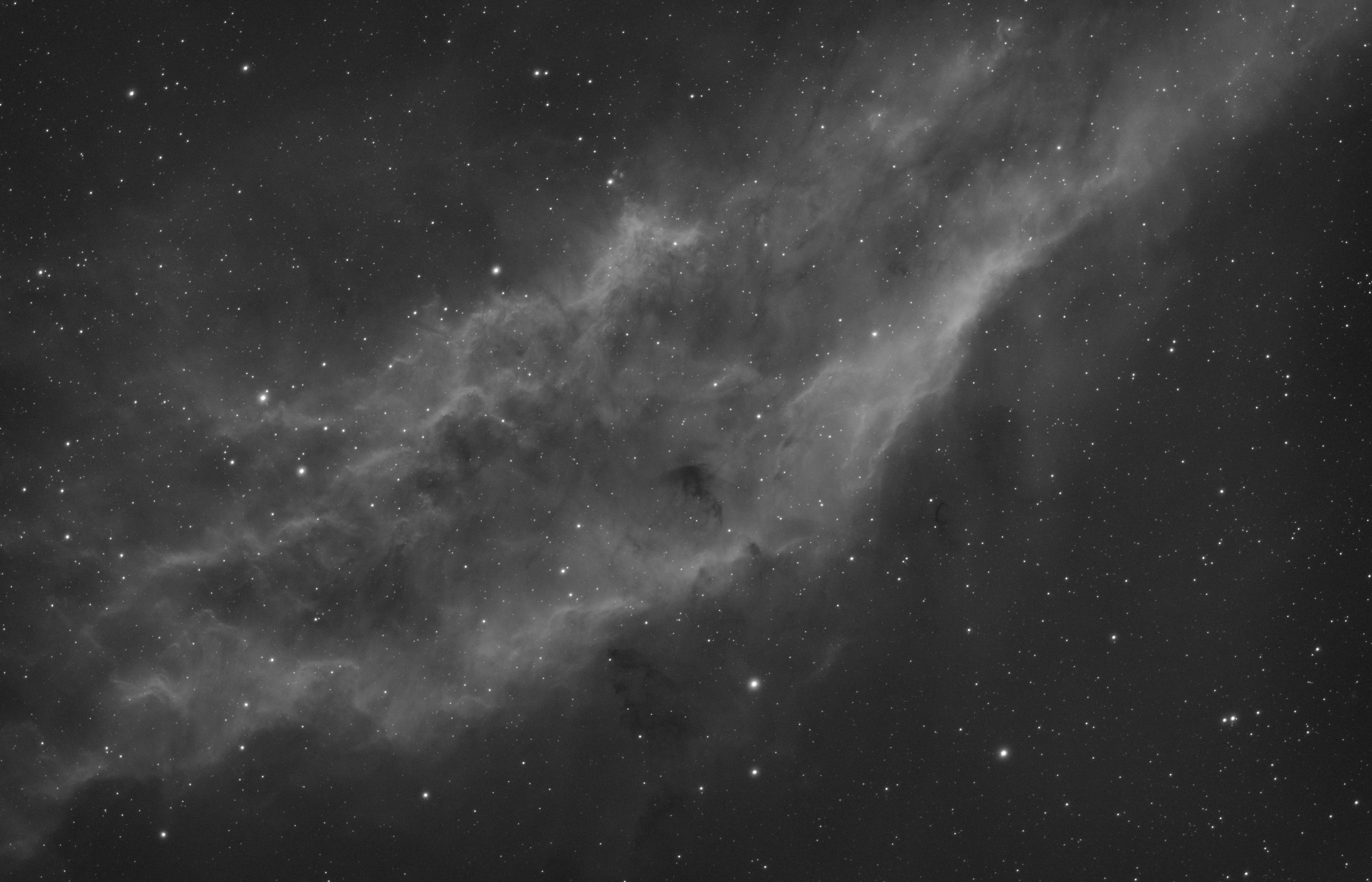 California Nebula
