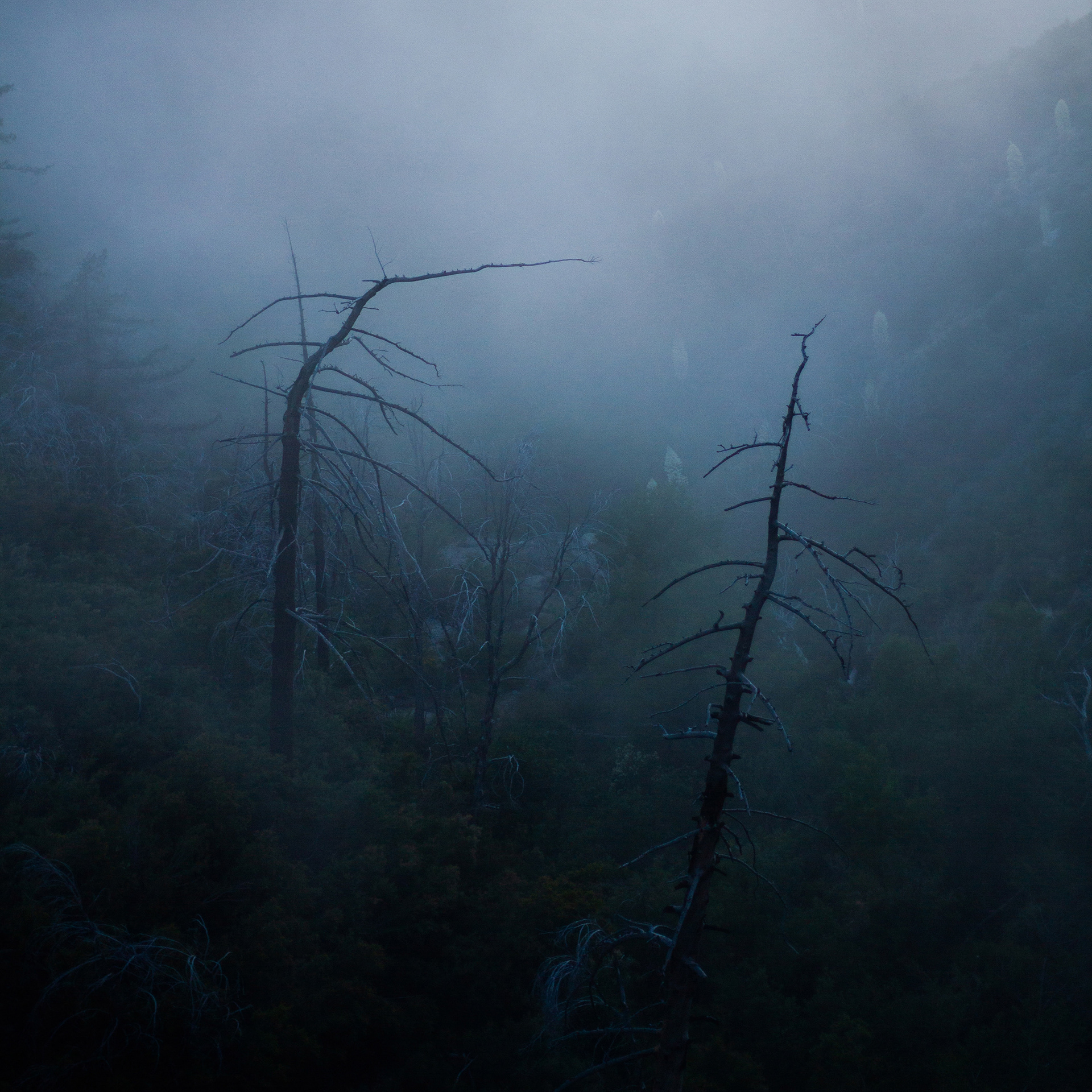 Ghosts