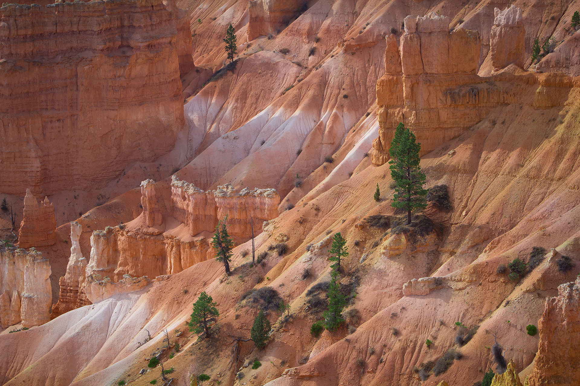 Bryce Canyon