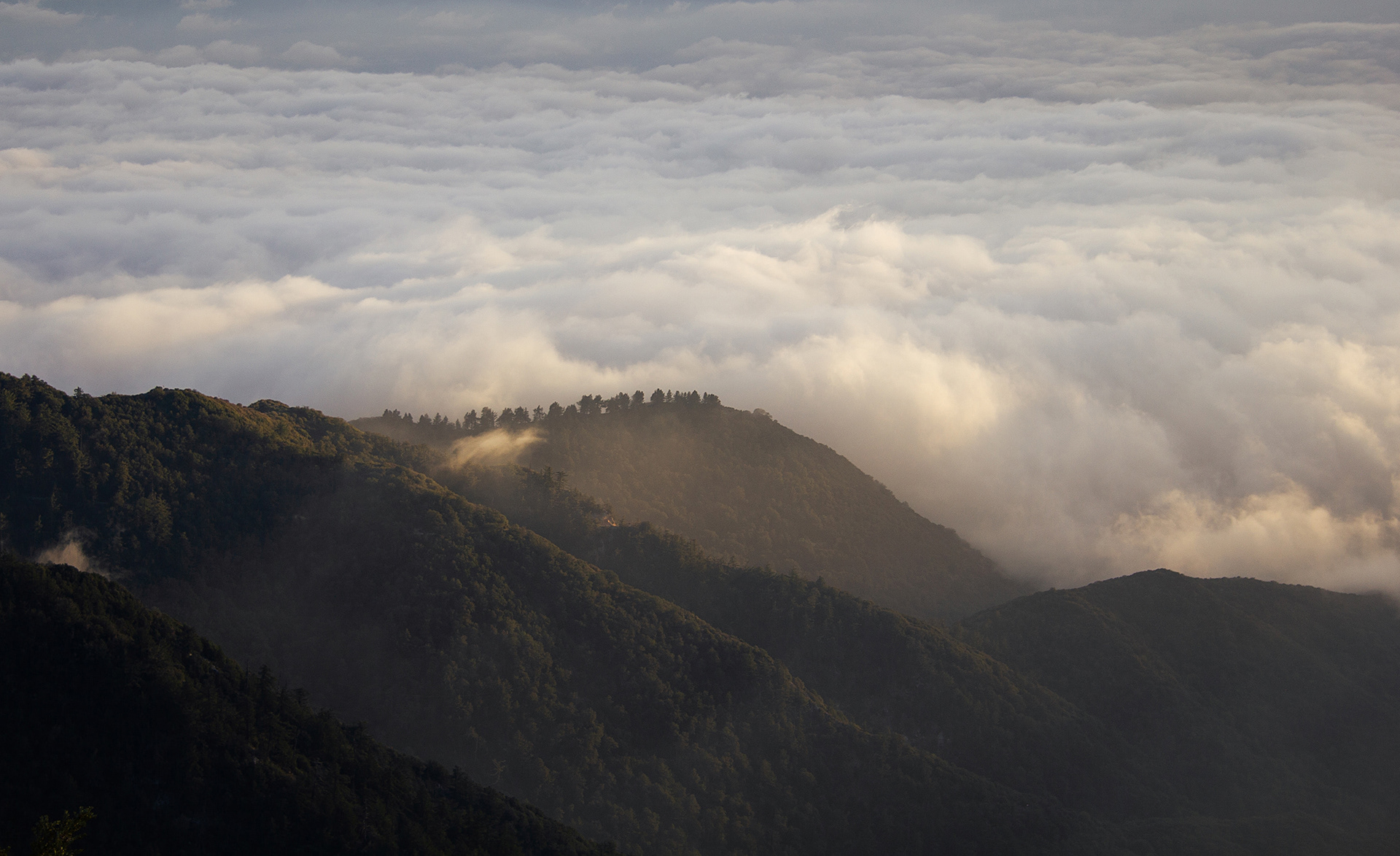 San Gabriel Fog