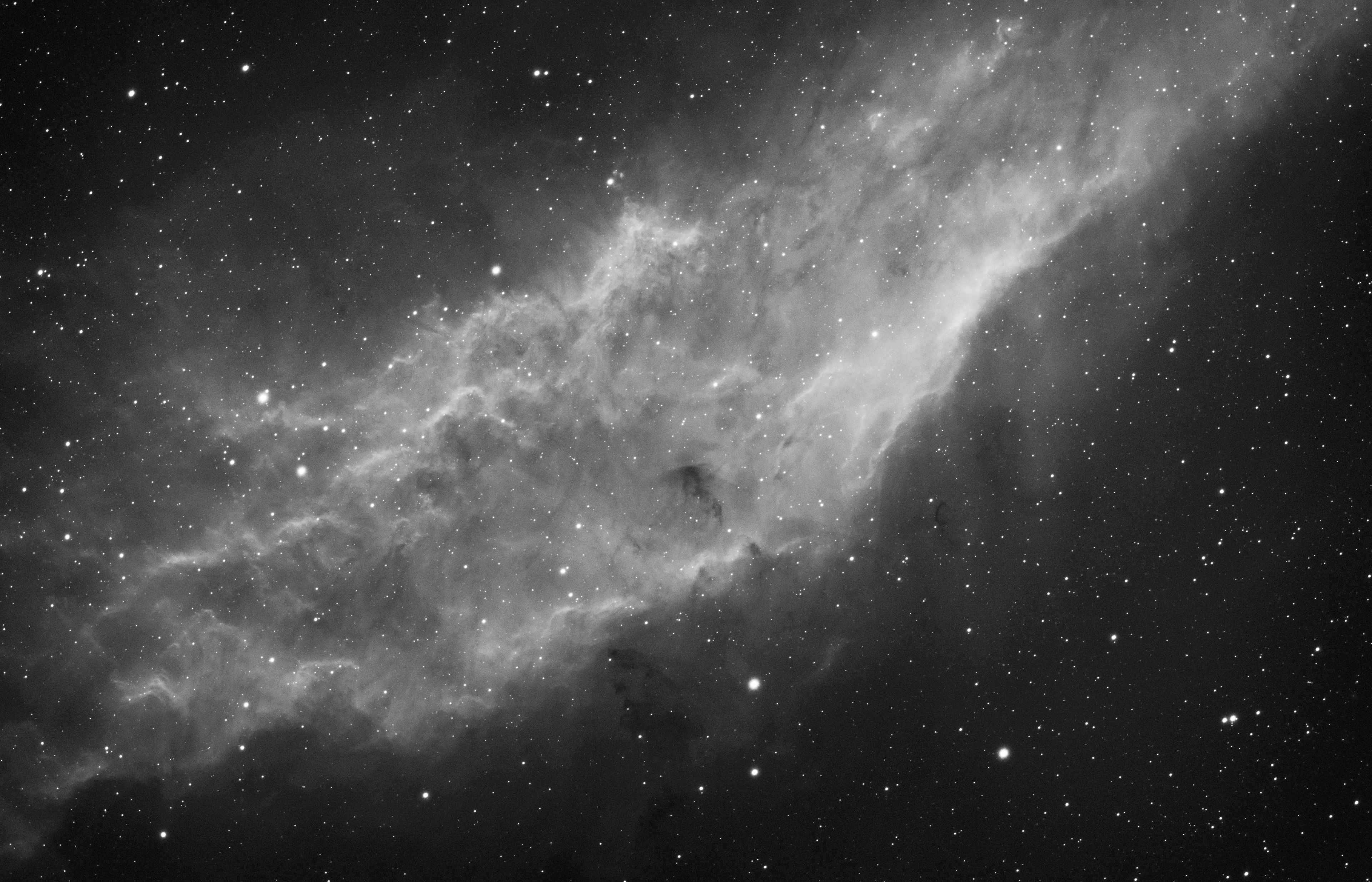 California Nebula