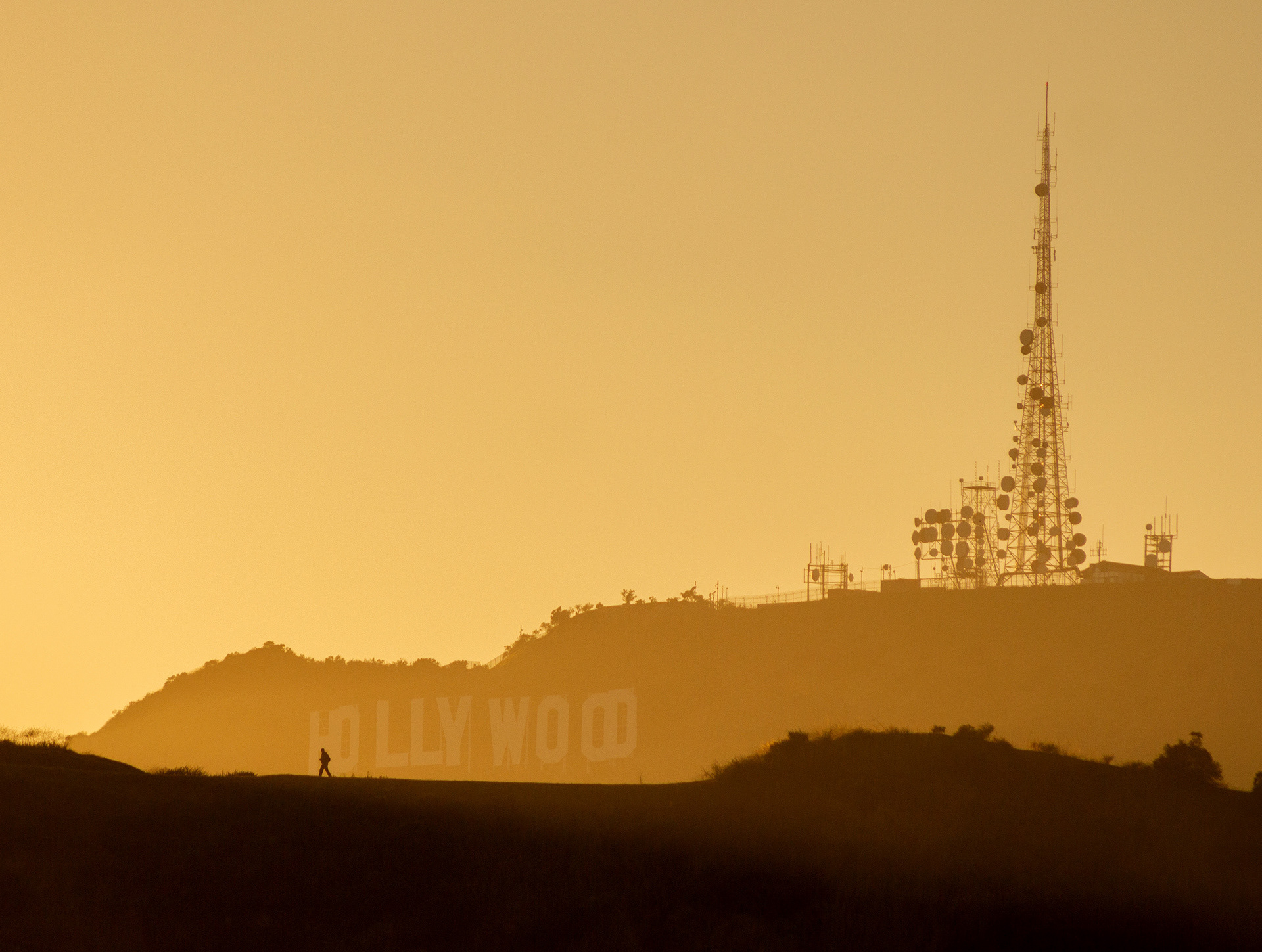 Hollywood Hiker
