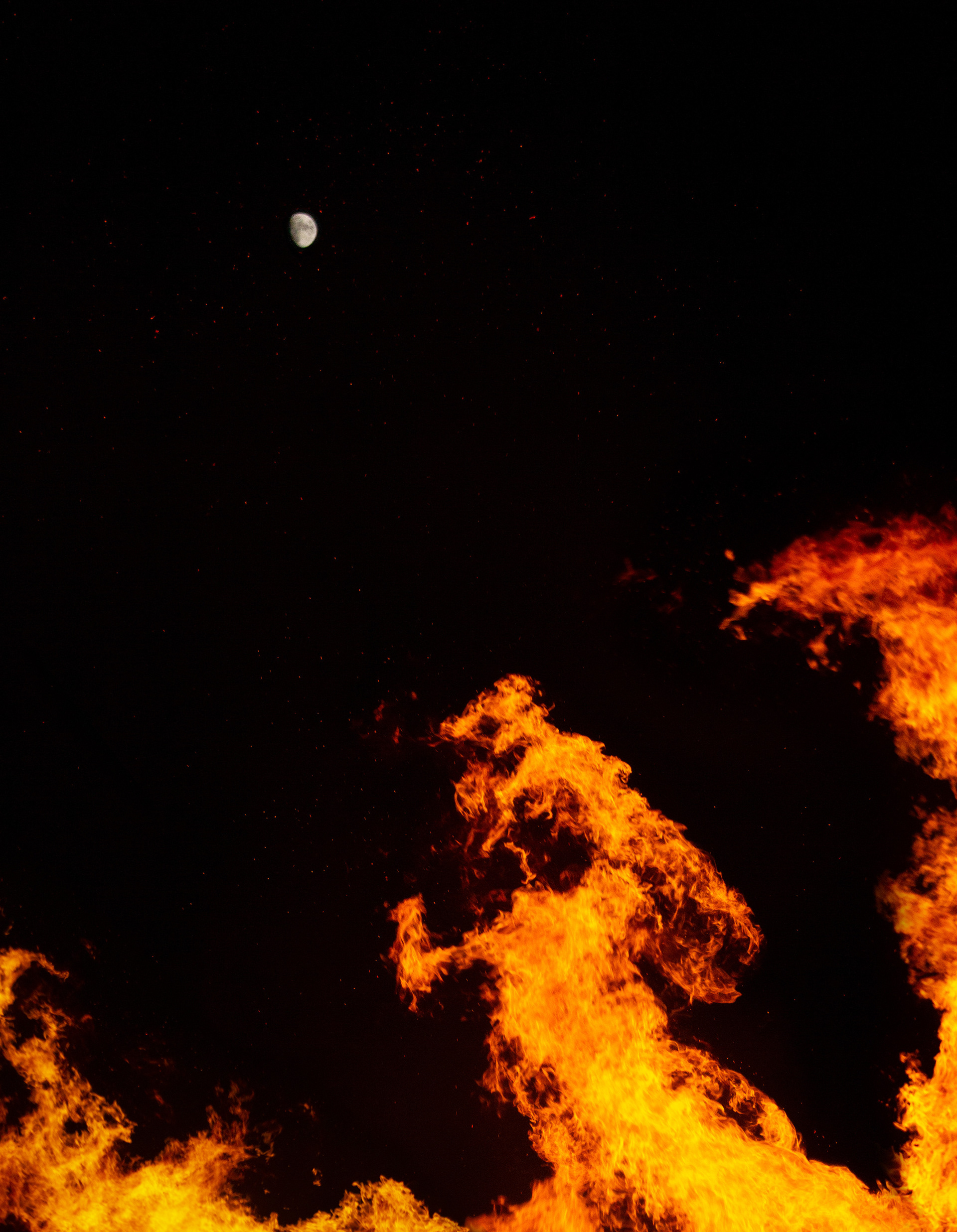 The Dragon and the Moon