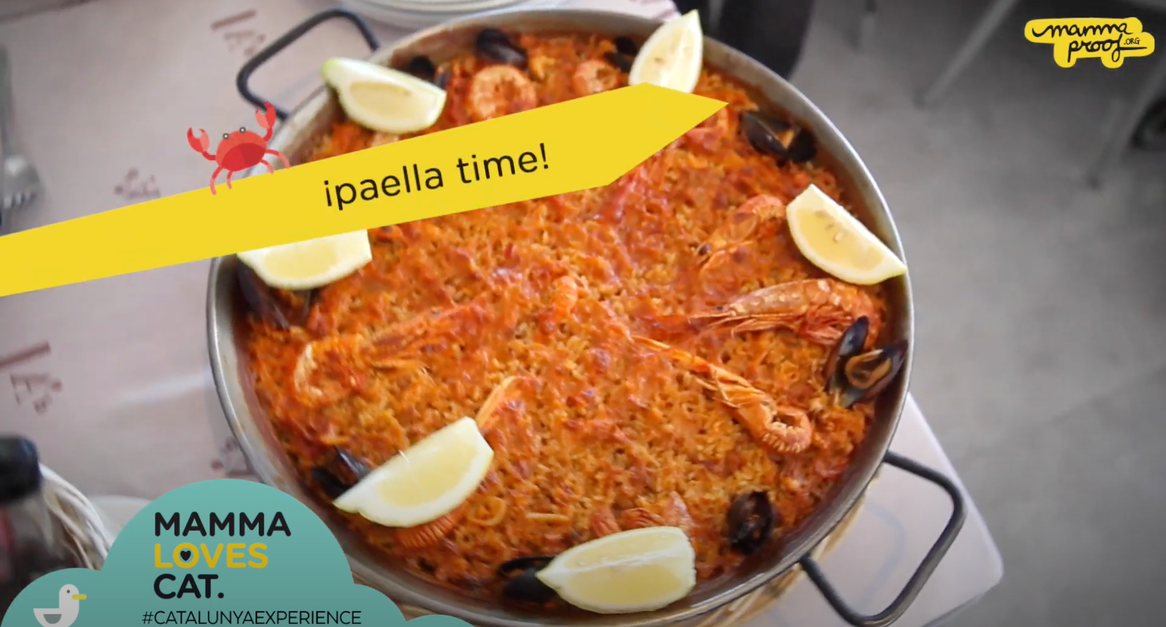 corporate video for Mama Proof