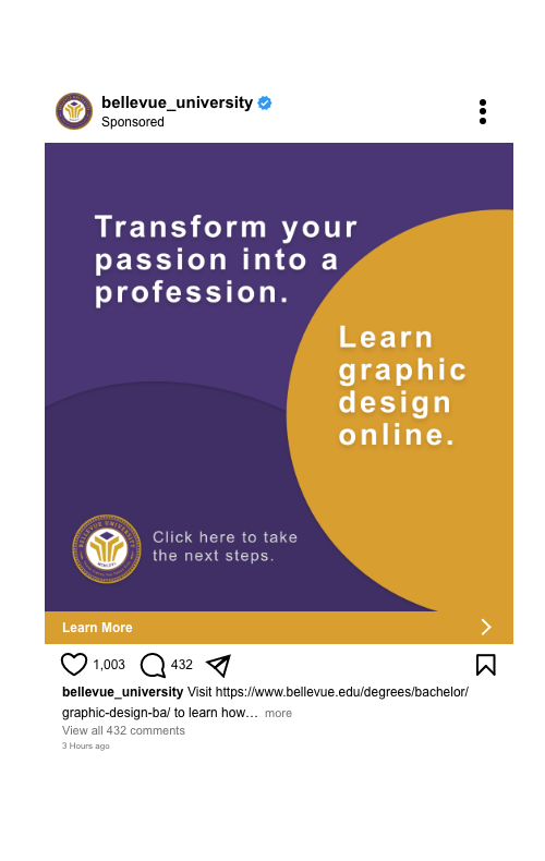 Instagram ad campaign