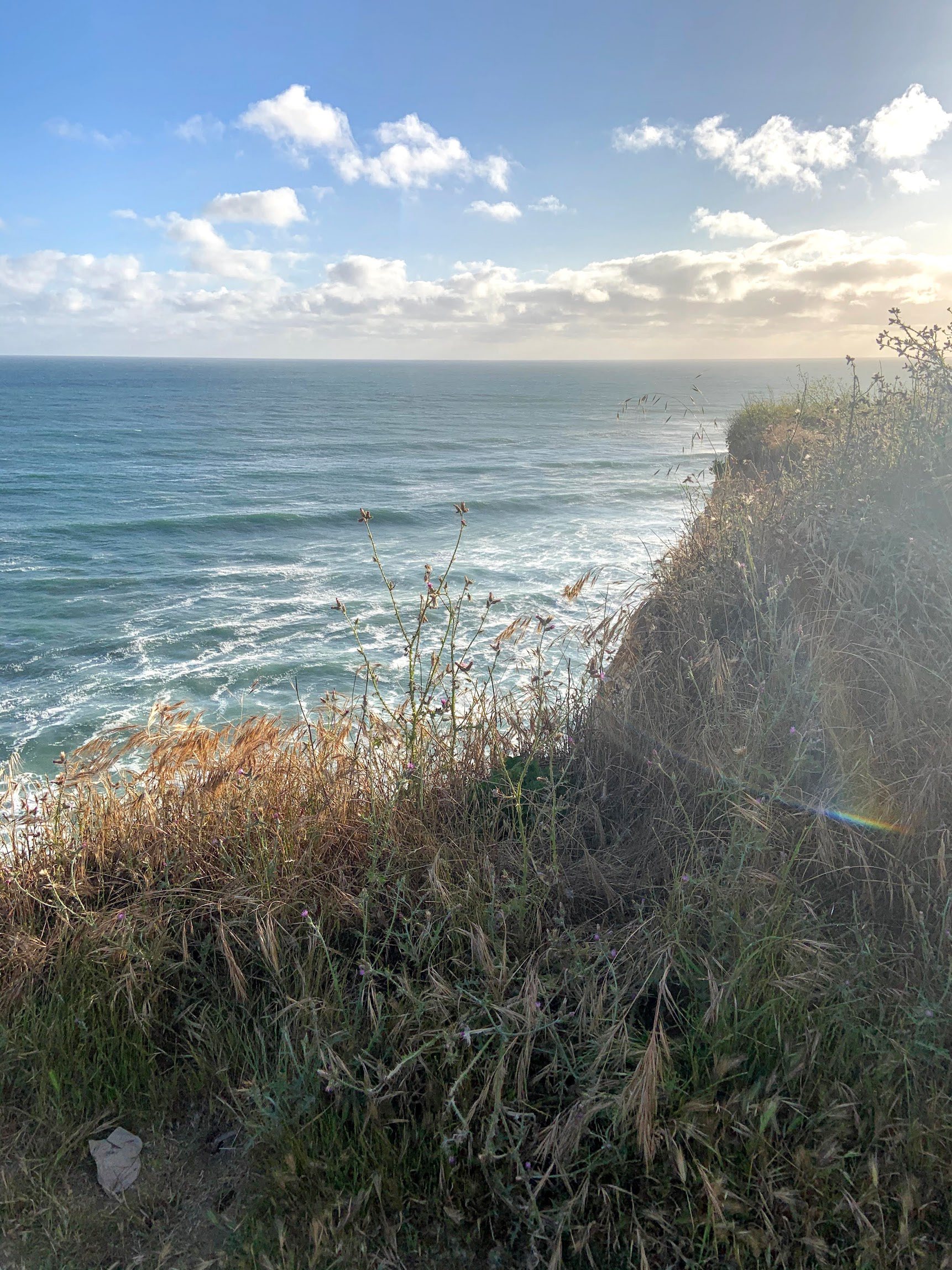 Pacific Coast in Santa Cruz, California