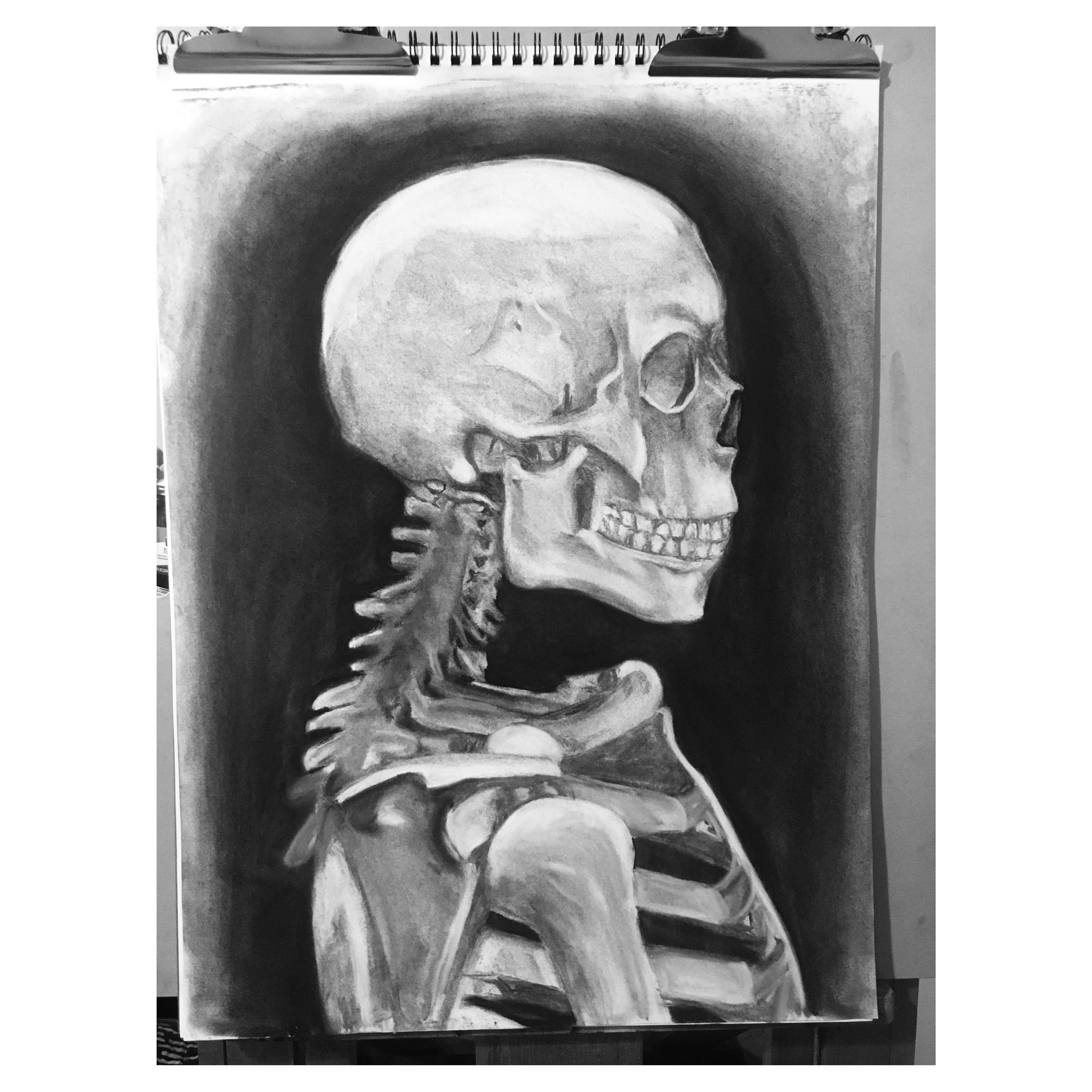 skull study, charcoal on drawing paper, c. 2019
