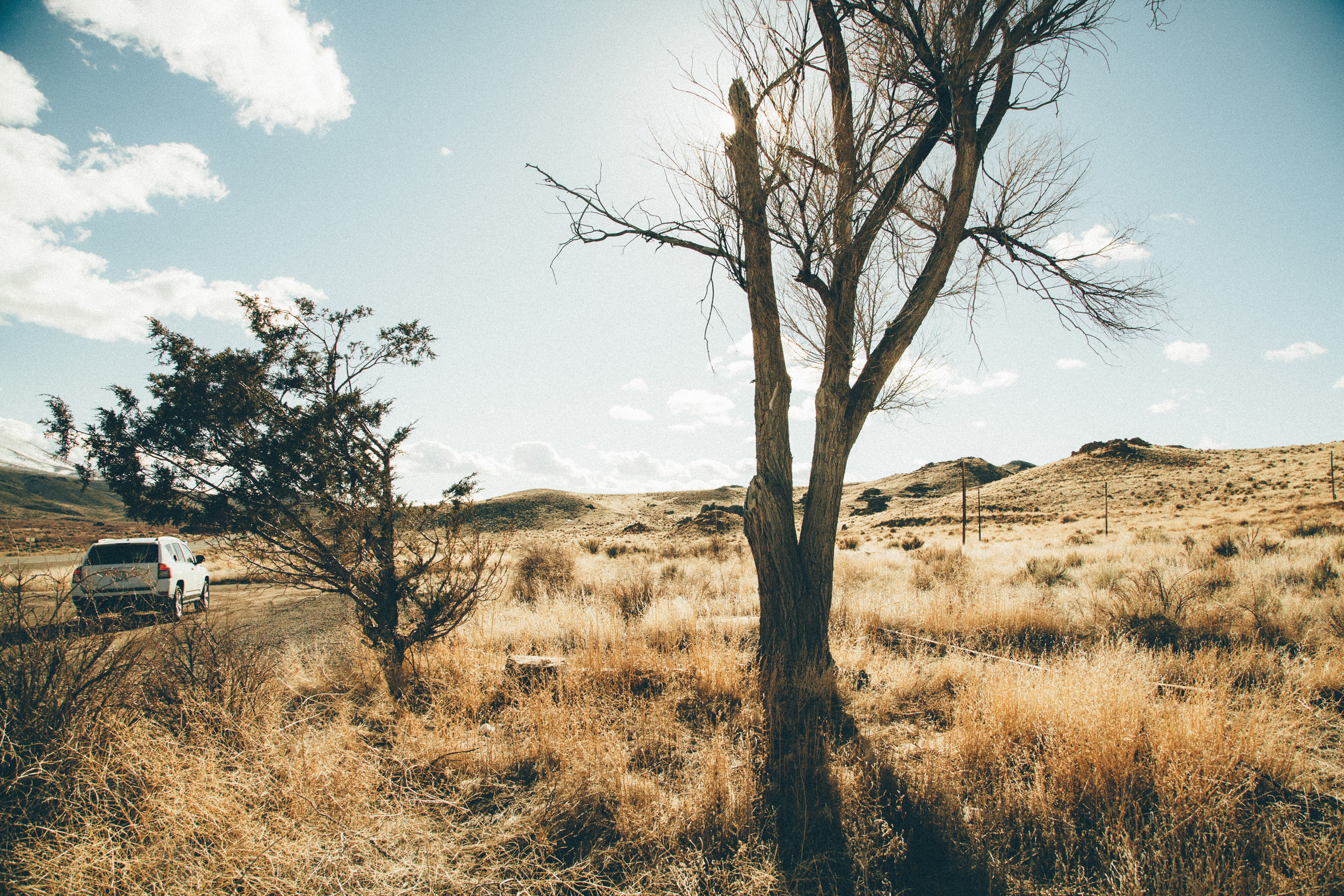 Arizona