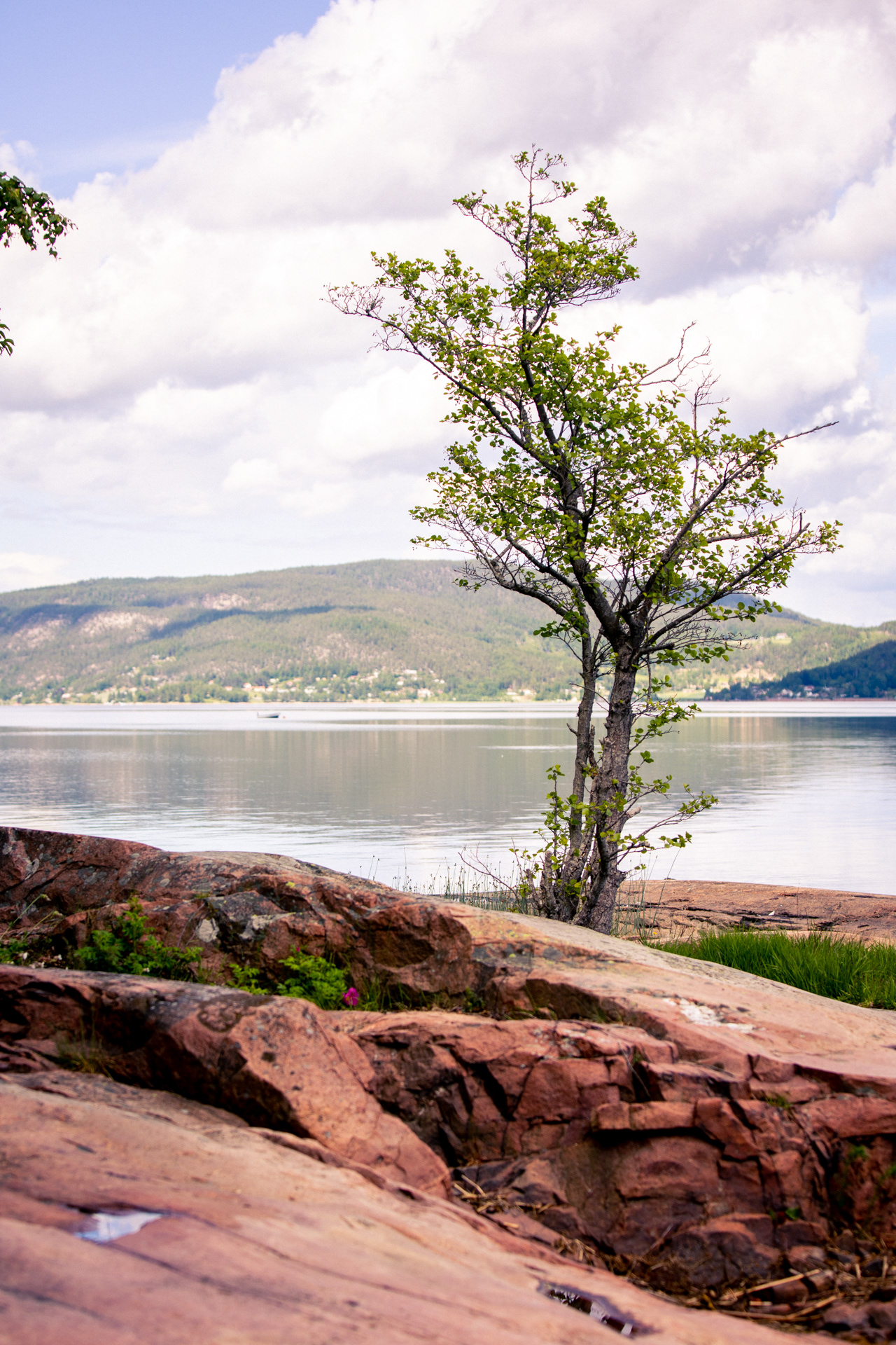 Drammensfjord