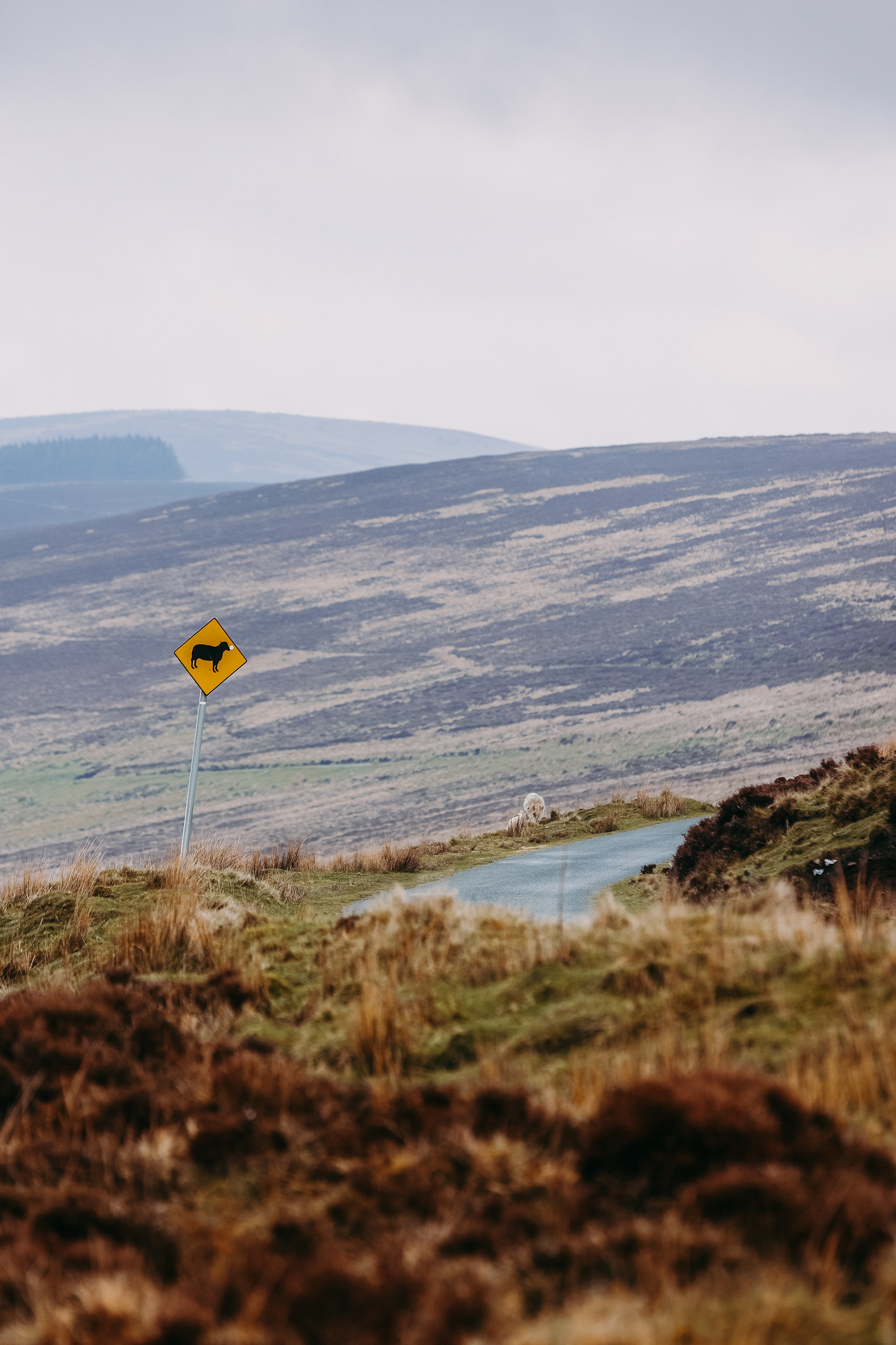 Wicklow Mountains