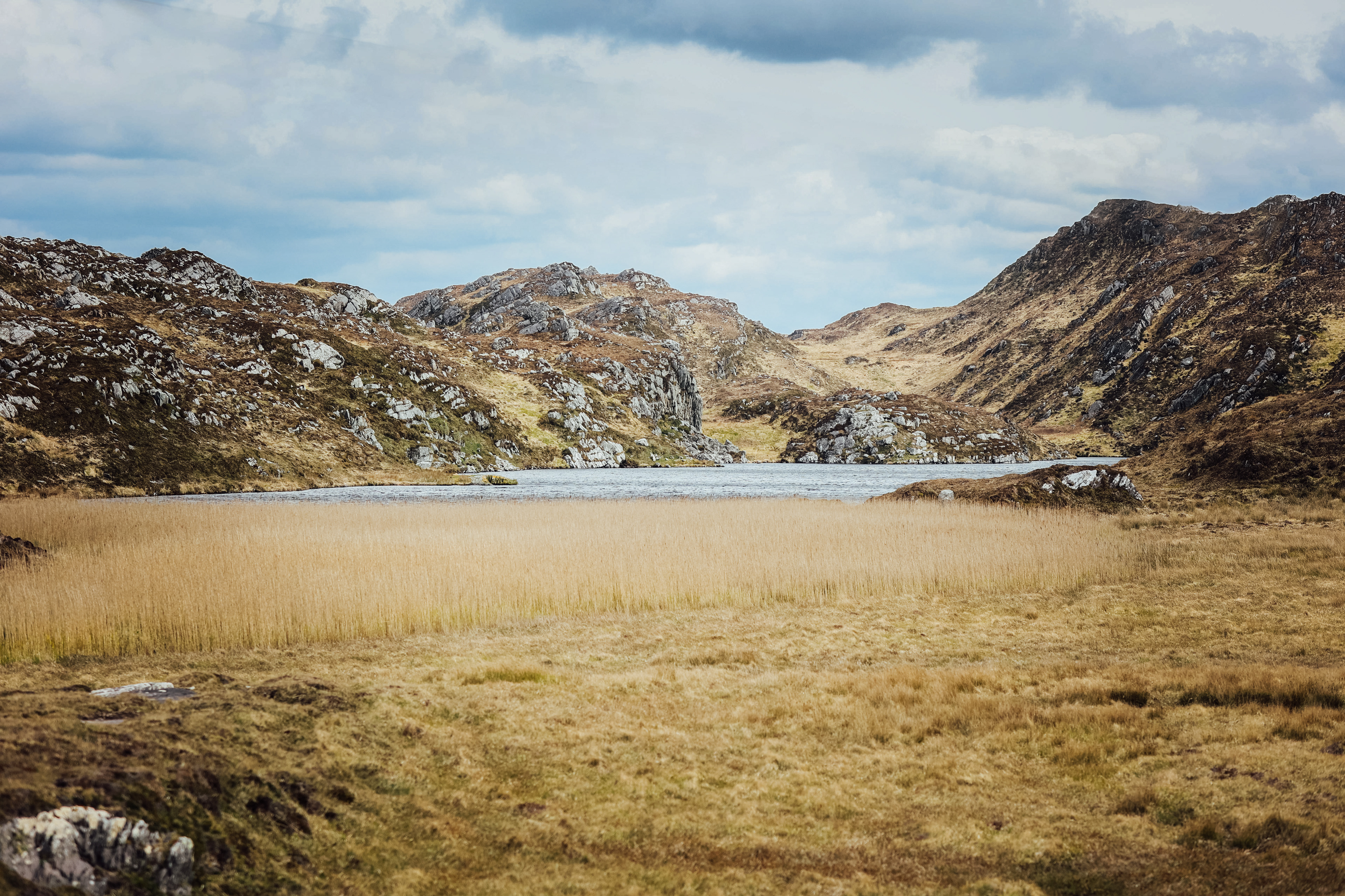 Sheep's Head