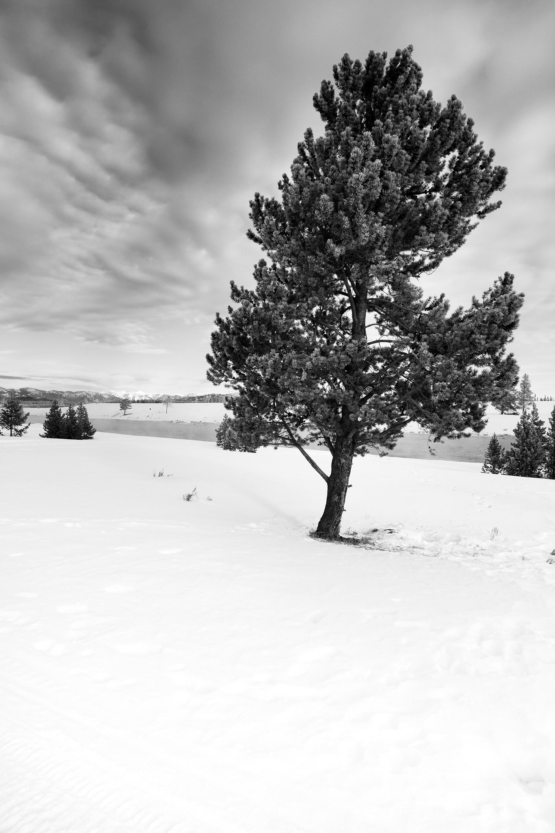 Yellowstone National Park