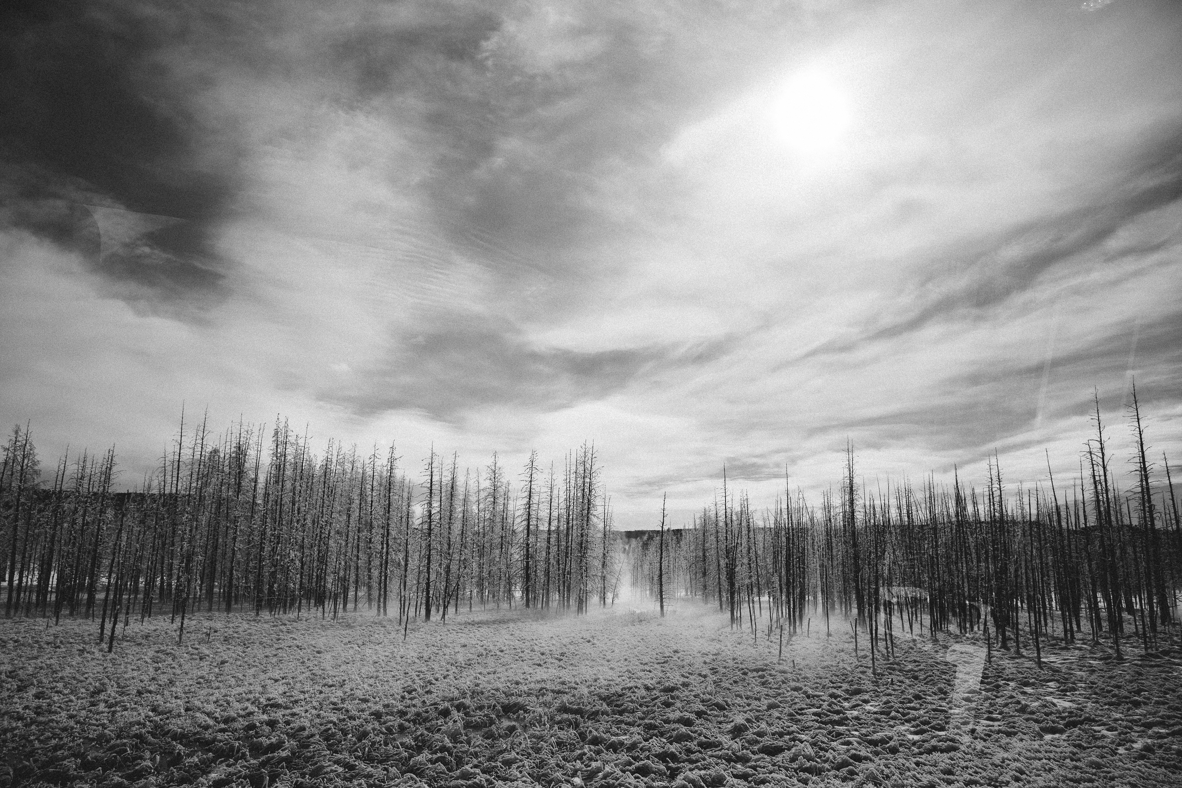 Yellowstone National Park