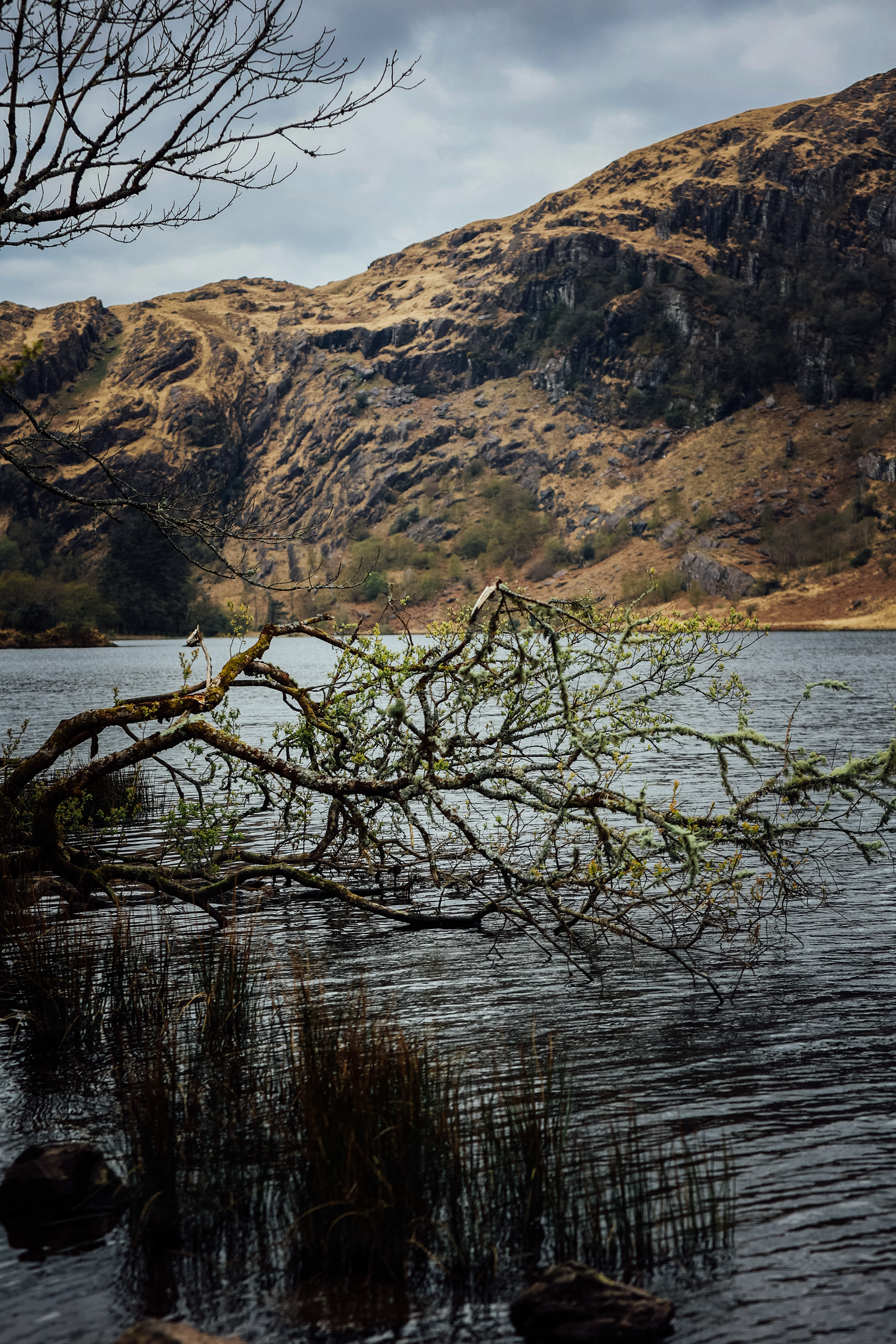 Gougane Barra