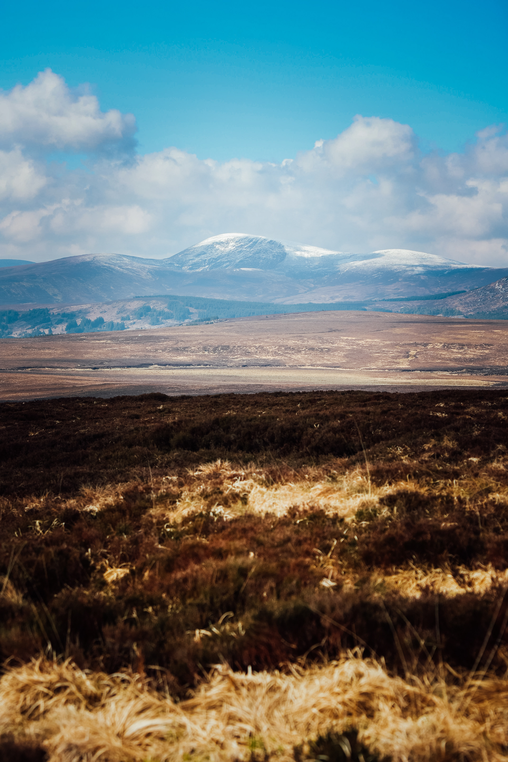 Wicklow Mountains