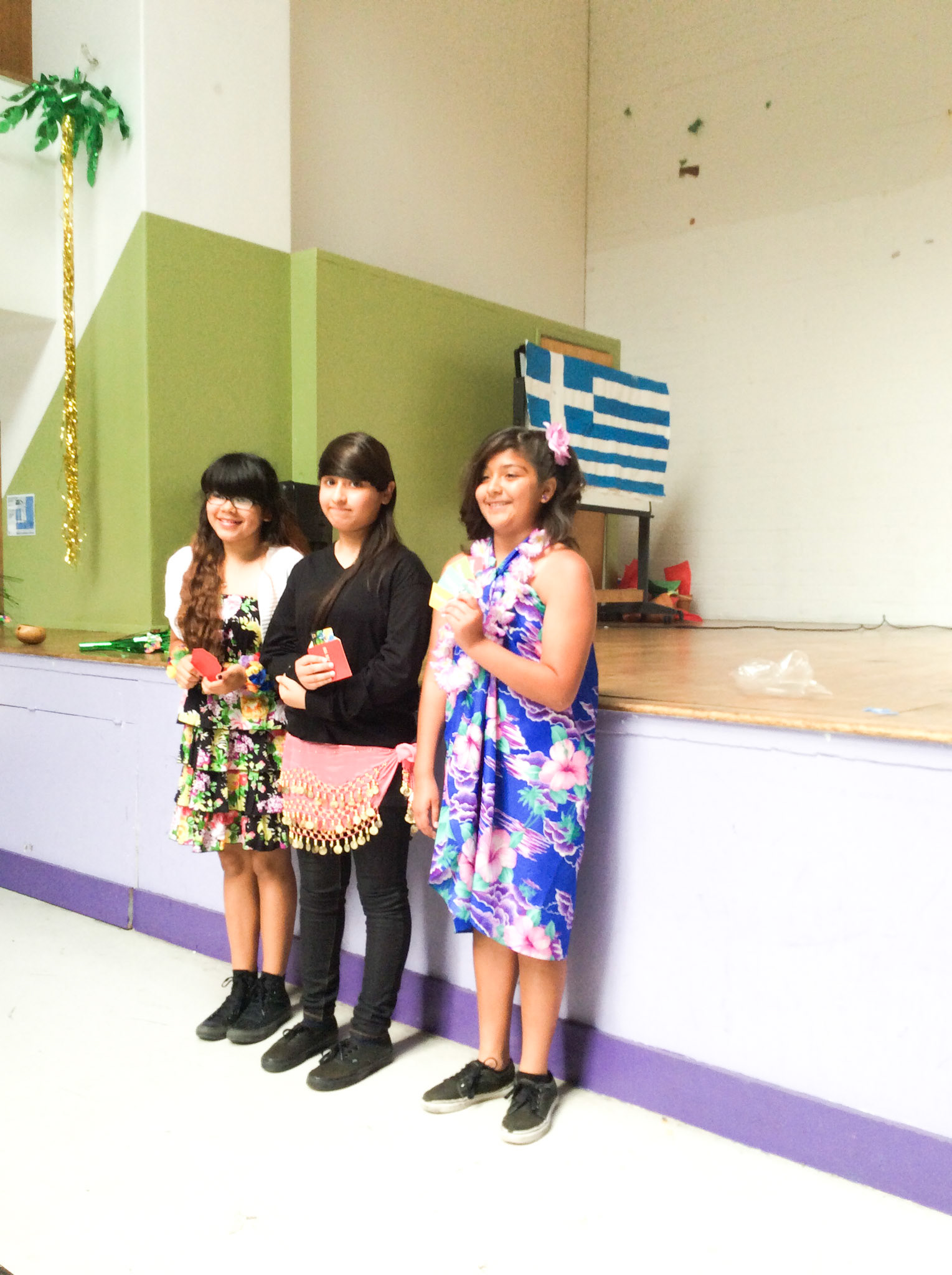 Technology teacher 2014