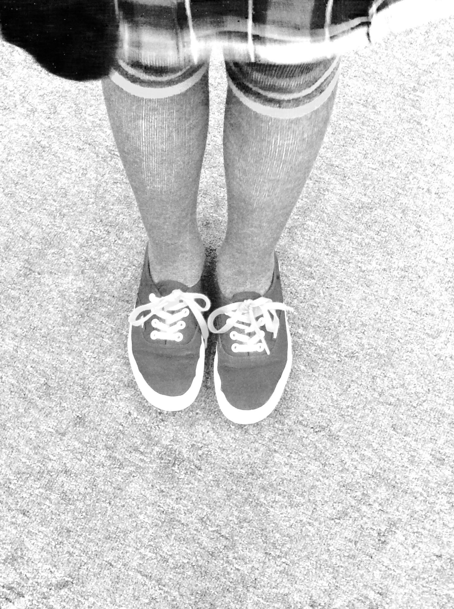 Technology teacher 2014