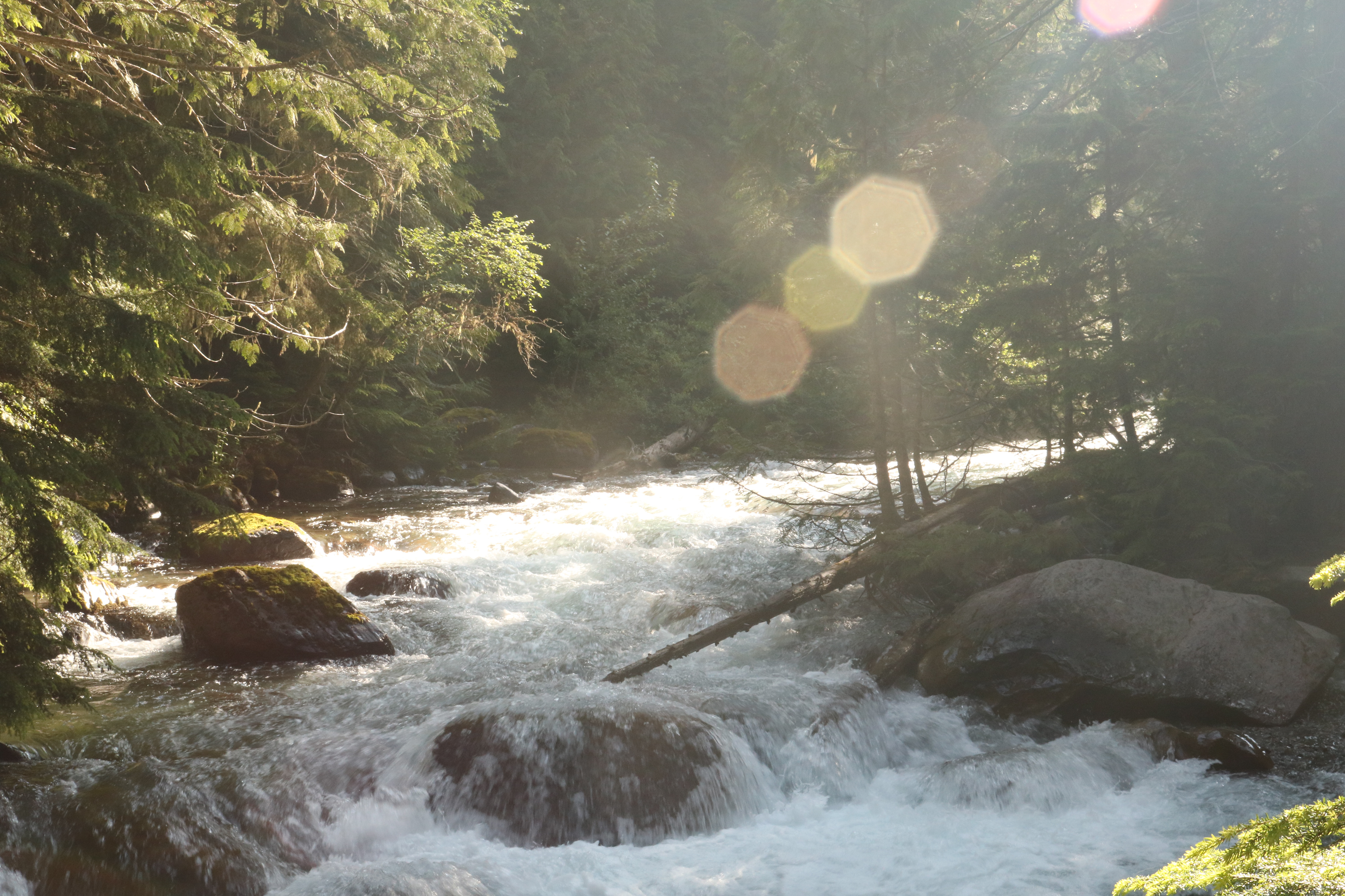 Trail views in Glacier National Park