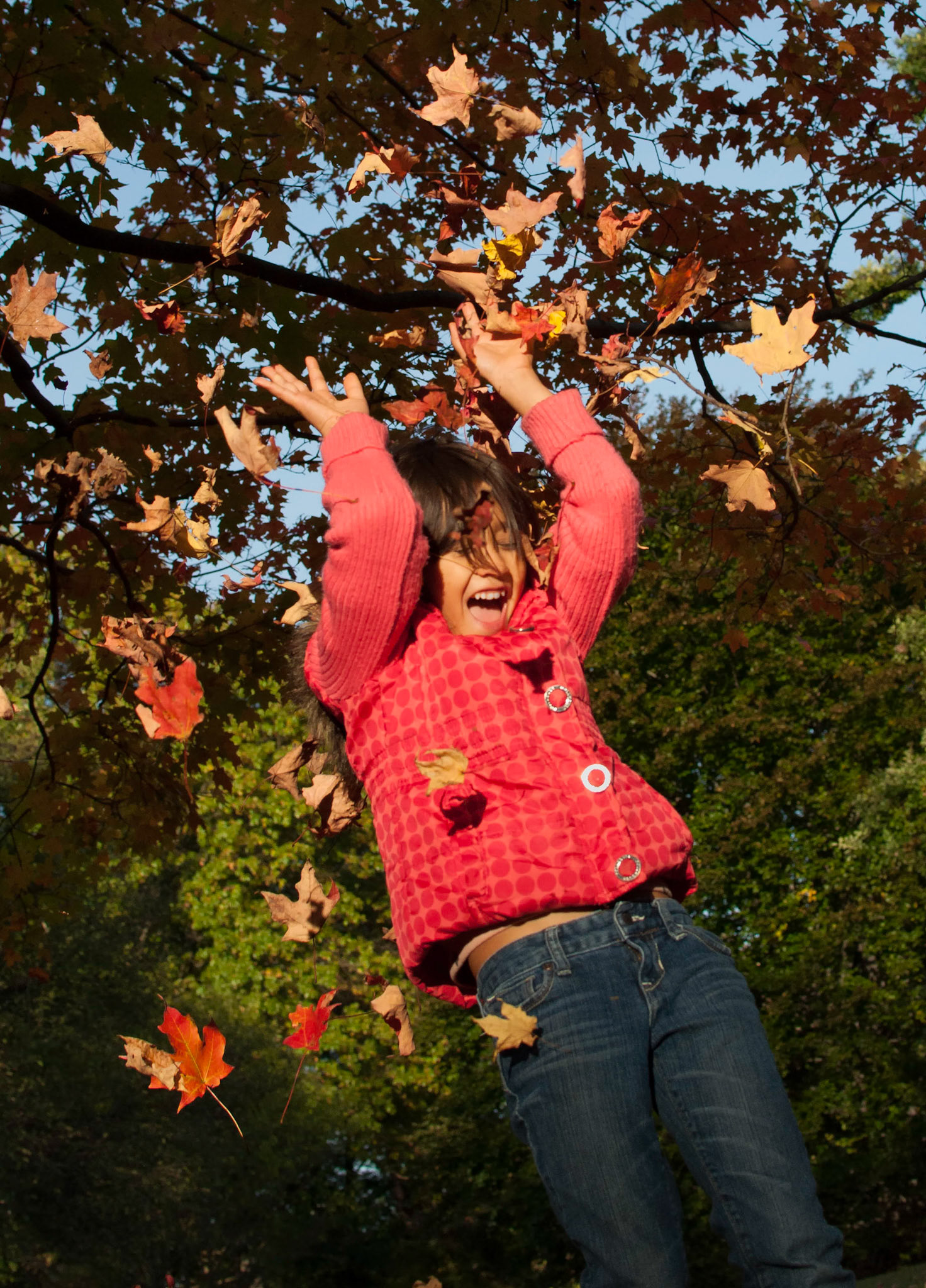 The Joys of Fall