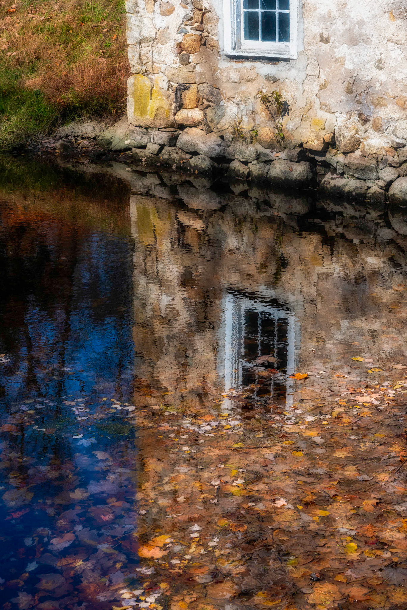 Fall Reflecion
