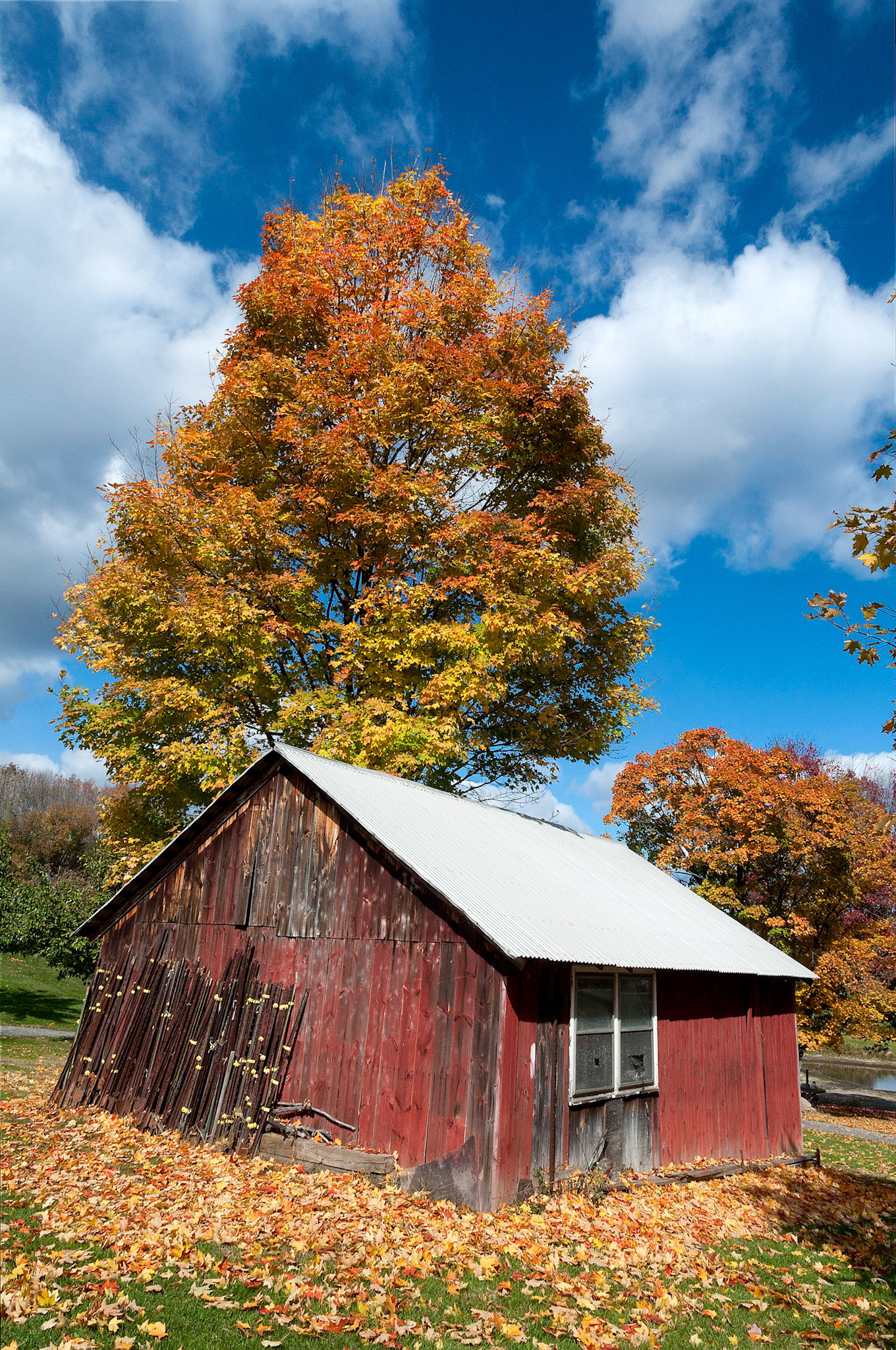 Fall Countryside