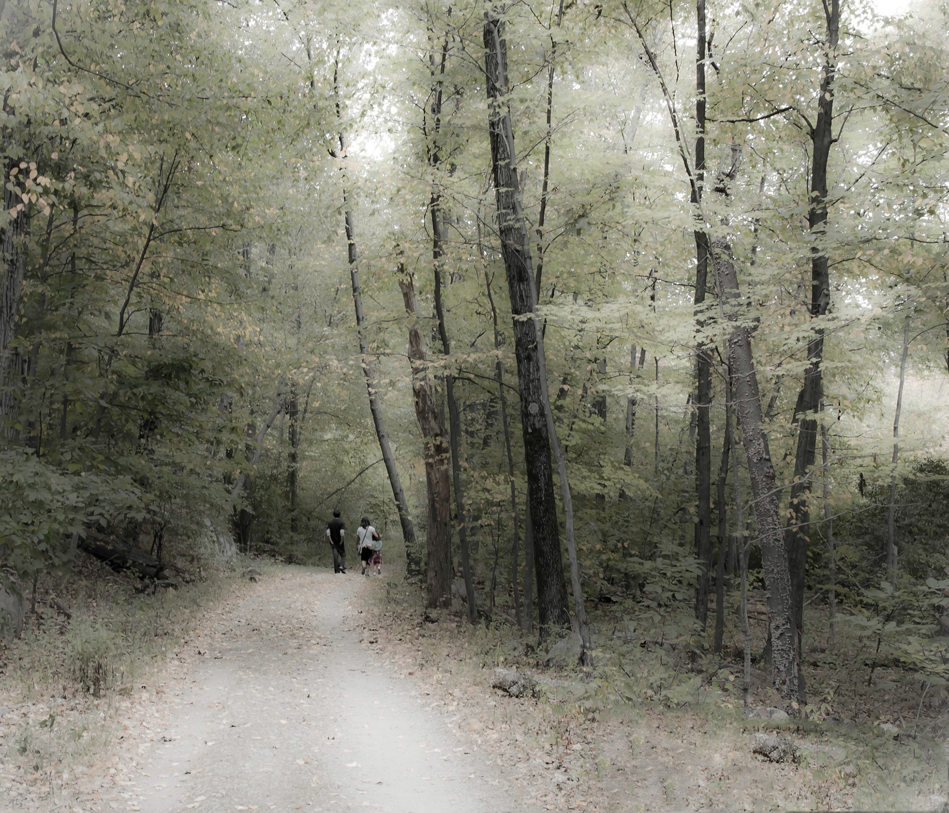 Early Fall Stroll