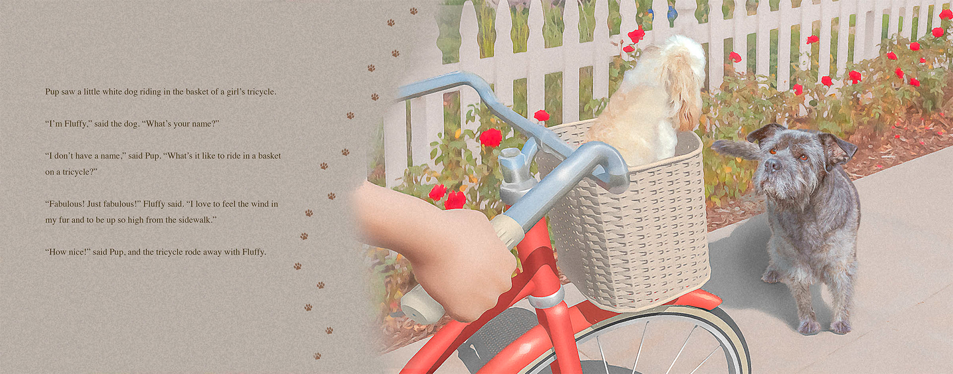 Pup meets a dog riding in a basket