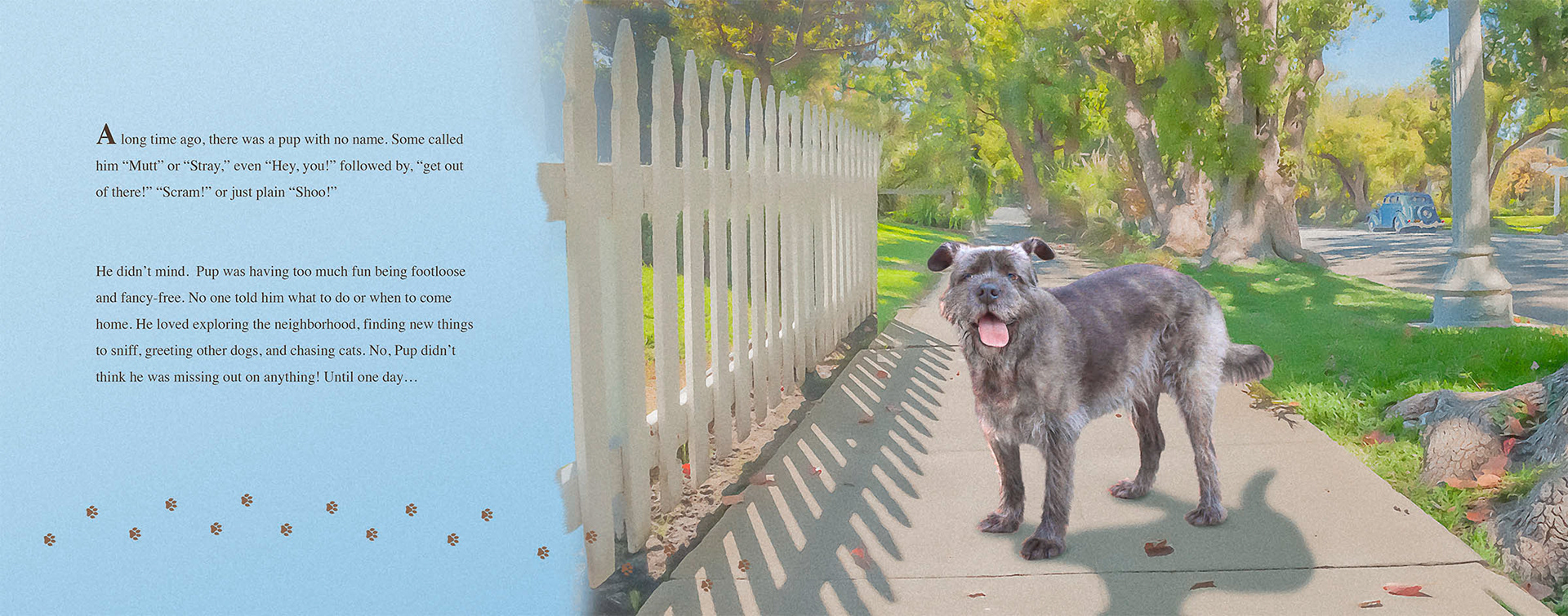 Introduction to Pup