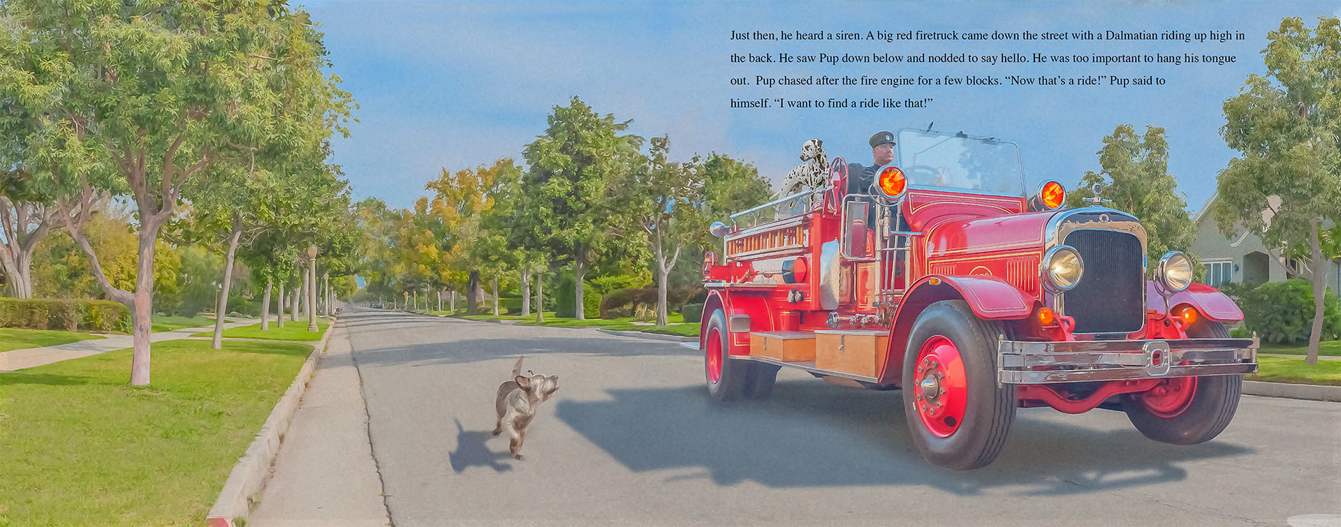 Pup sees a dog riding on a fire engine...Pup wants a ride like that!