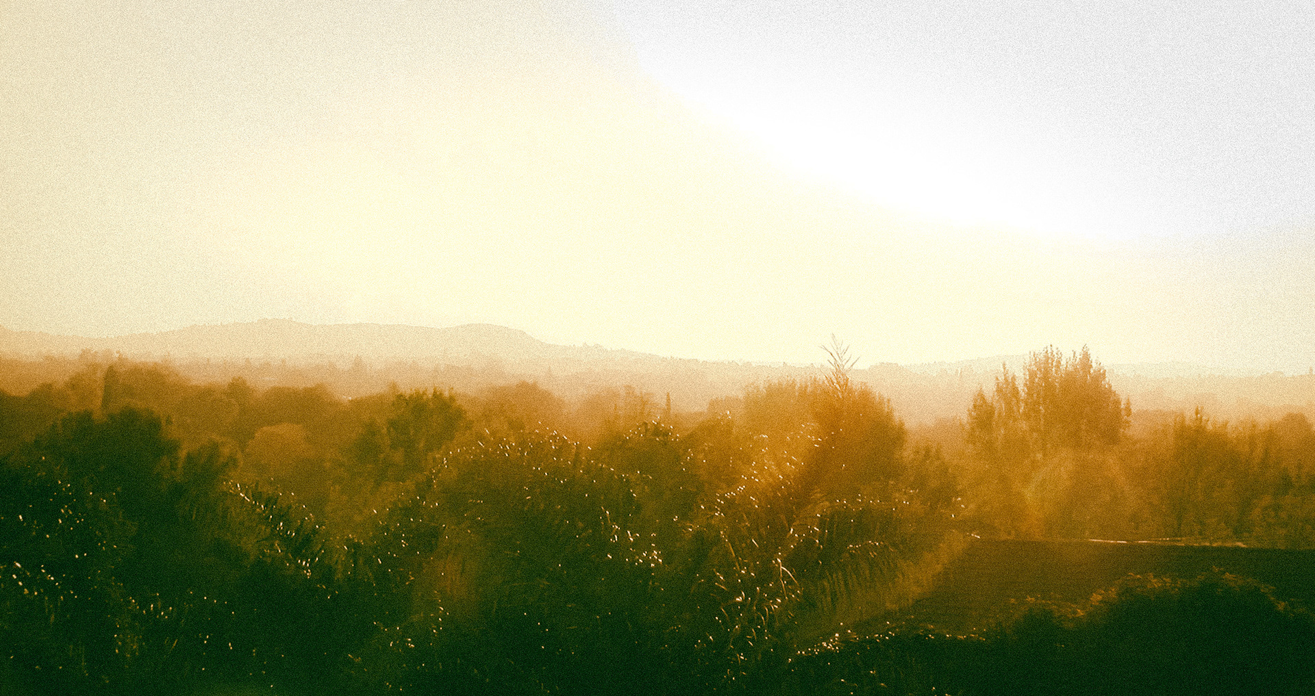 SHOT BY JAEDEN KLASSEN 