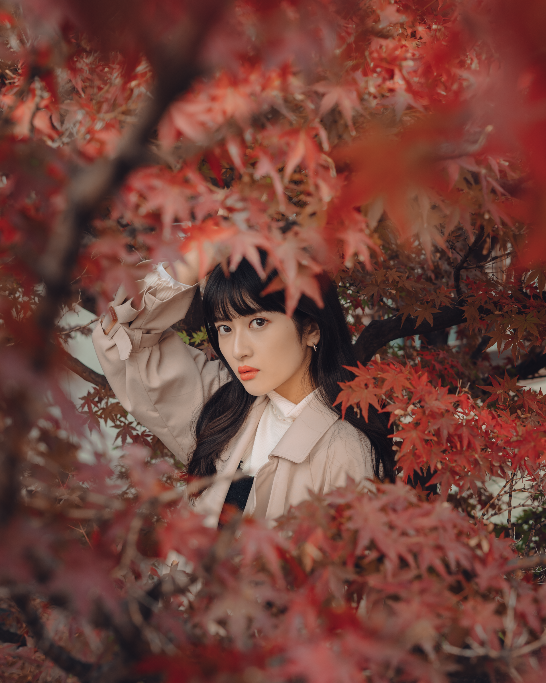 志織